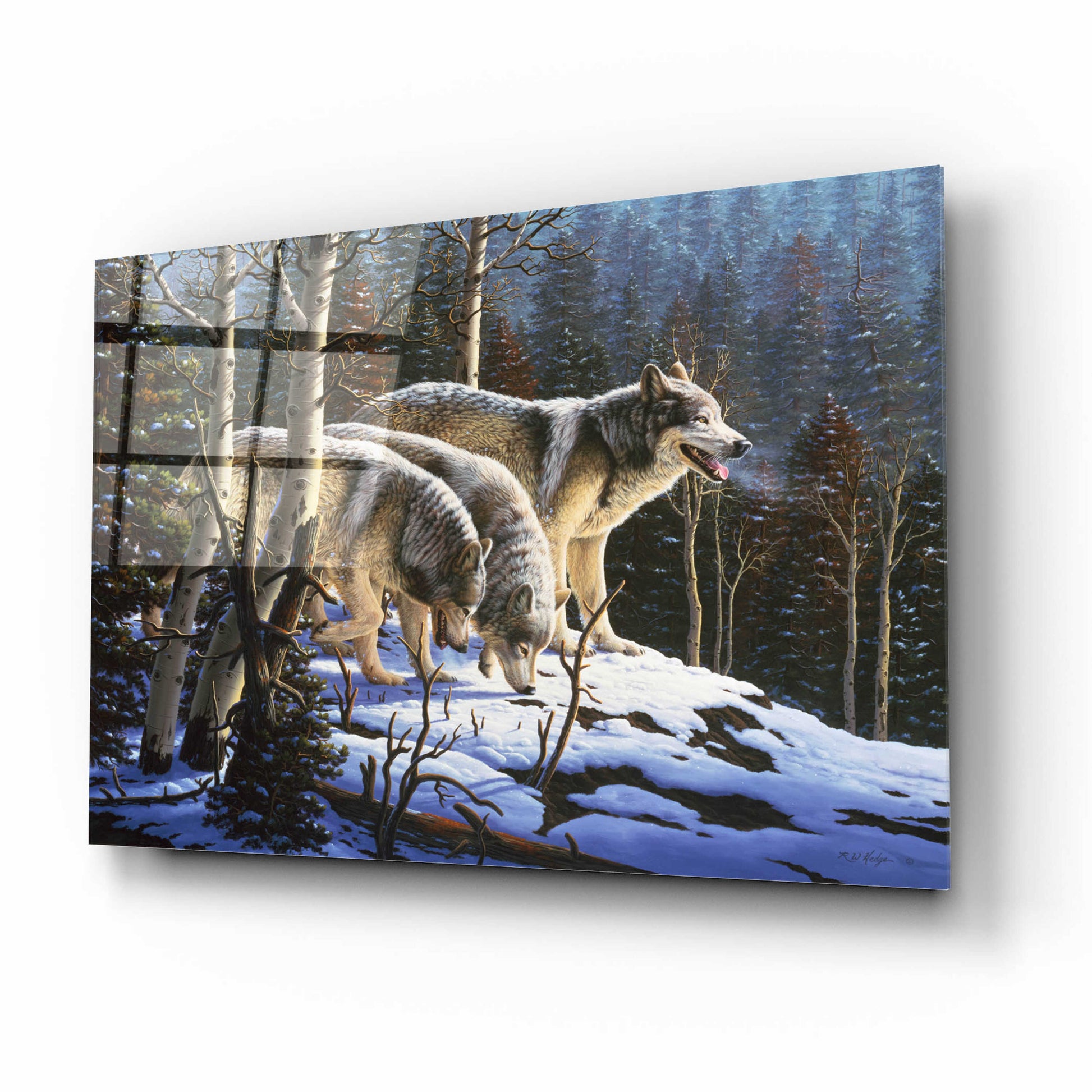 Epic Art 'First Hunt' by R. Hed, Acrylic Glass Wall Art,16x12