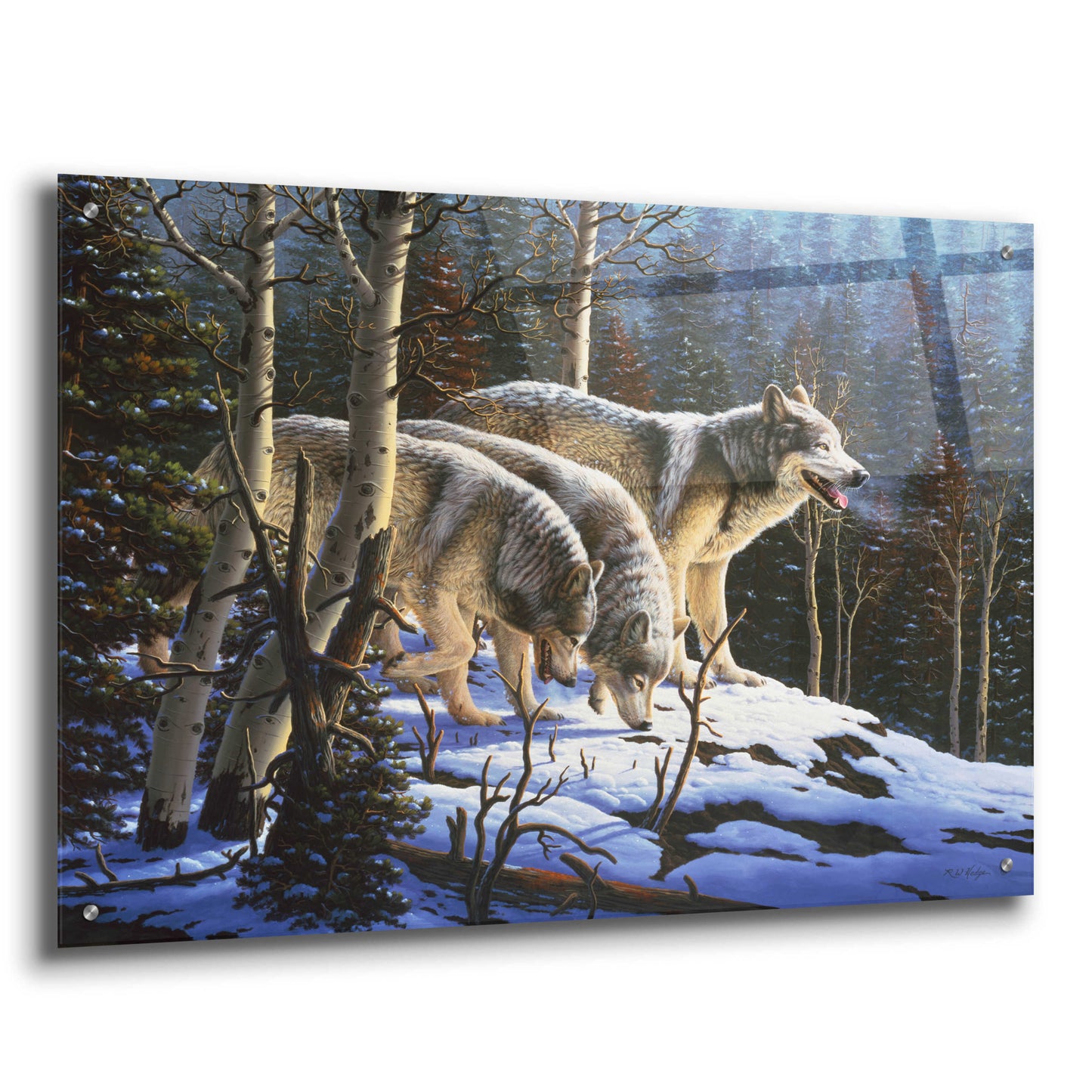 Epic Art 'First Hunt' by R. Hed, Acrylic Glass Wall Art,36x24