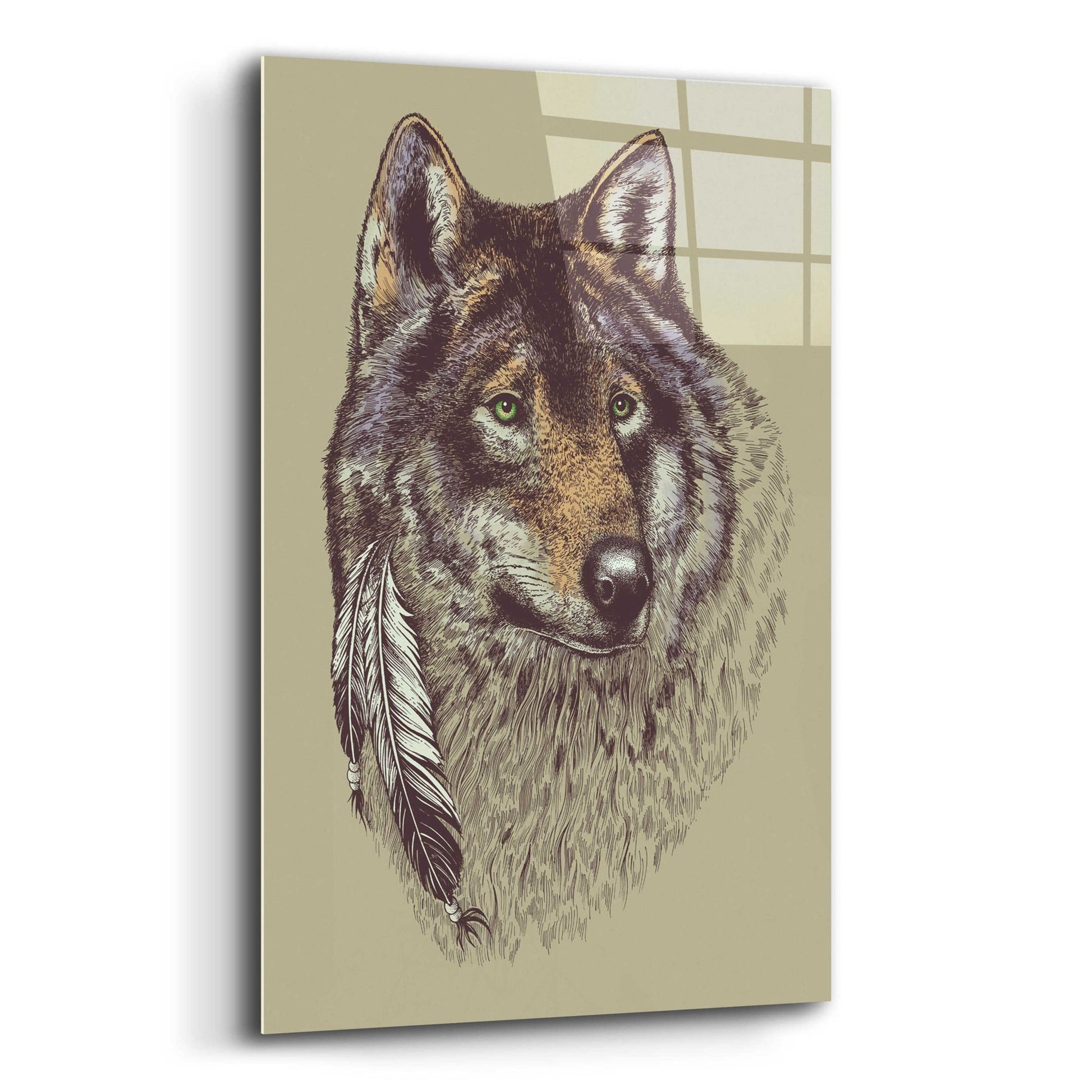 Epic Art 'Wolf and Feathers' by Rachel Caldwell, Acrylic Glass Wall Art,12x16