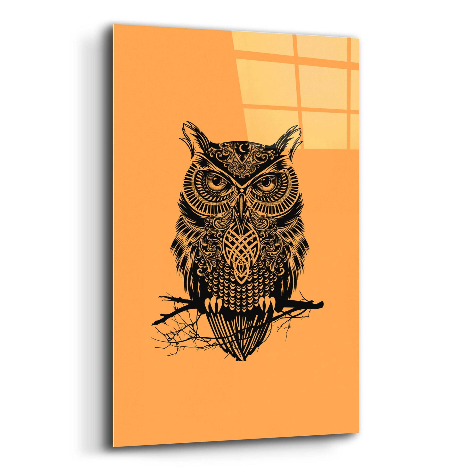 Epic Art 'Warrior Owl On Orange' by Rachel Caldwell, Acrylic Glass Wall Art,12x16