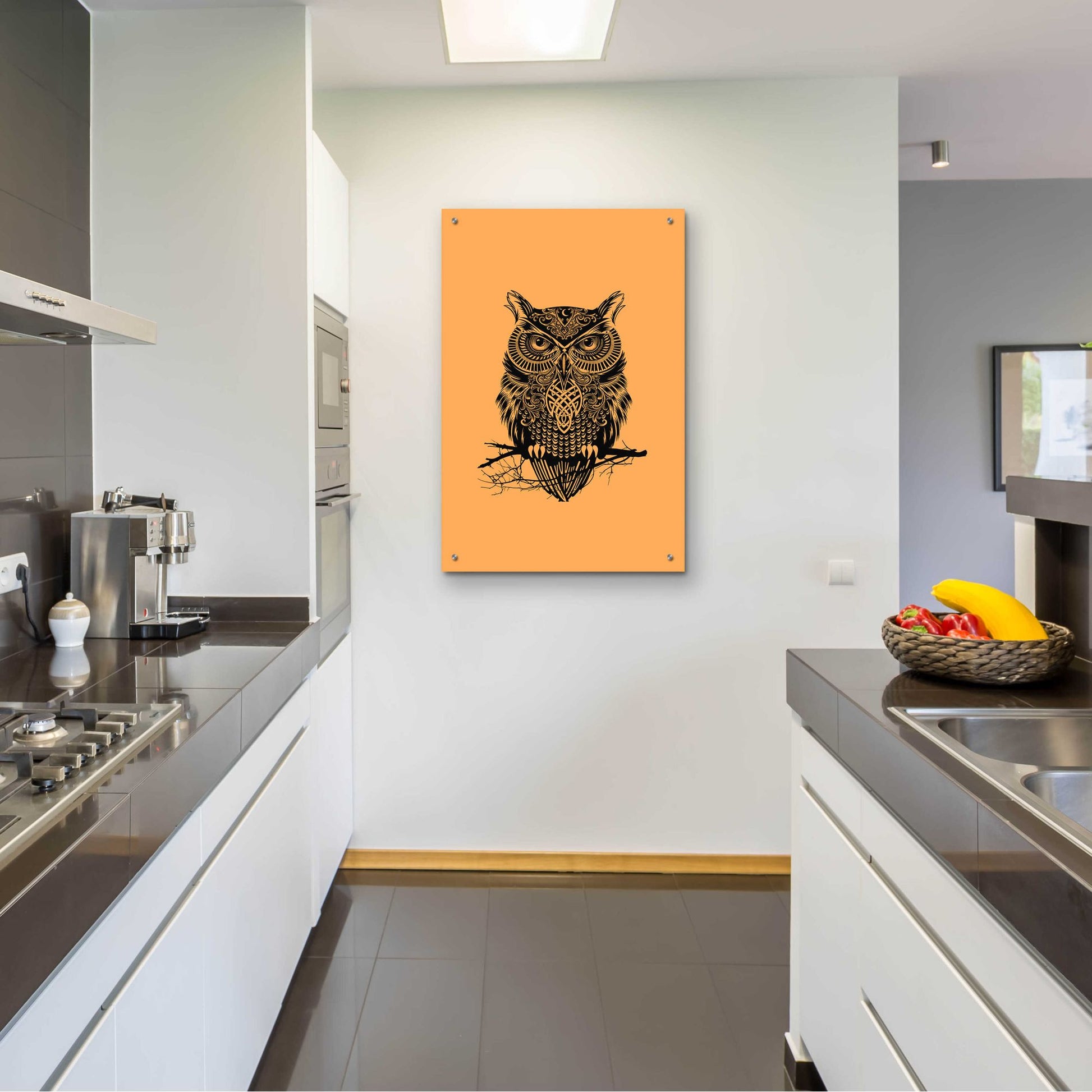 Epic Art 'Warrior Owl On Orange' by Rachel Caldwell, Acrylic Glass Wall Art,24x36