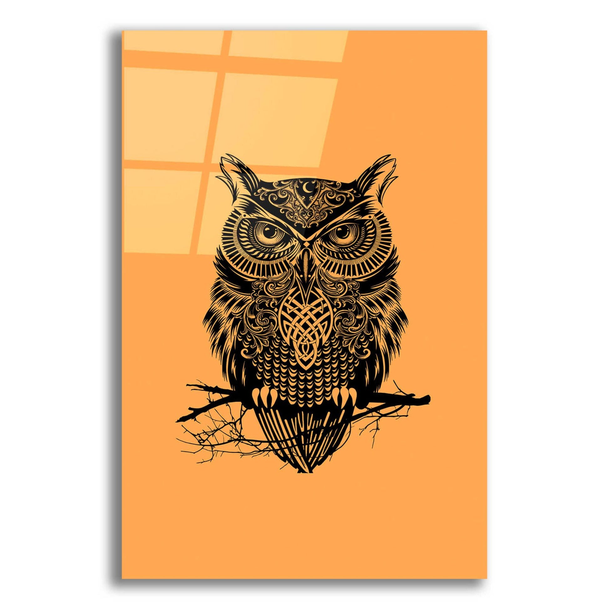 Epic Art 'Warrior Owl On Orange' by Rachel Caldwell, Acrylic Glass Wall Art