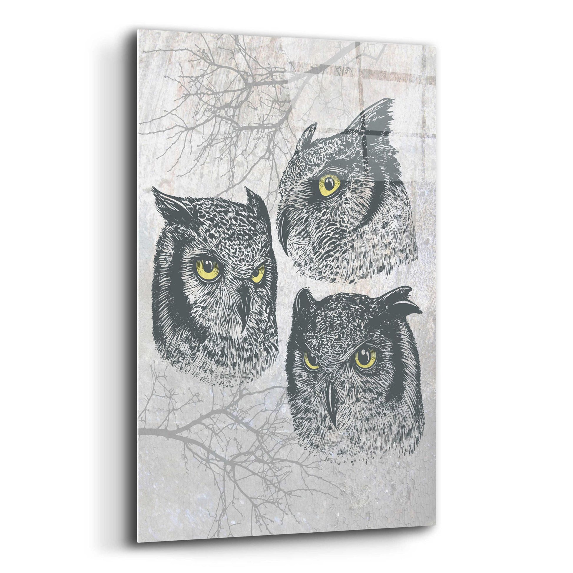 Epic Art 'Three Owls' by Rachel Caldwell, Acrylic Glass Wall Art,12x16