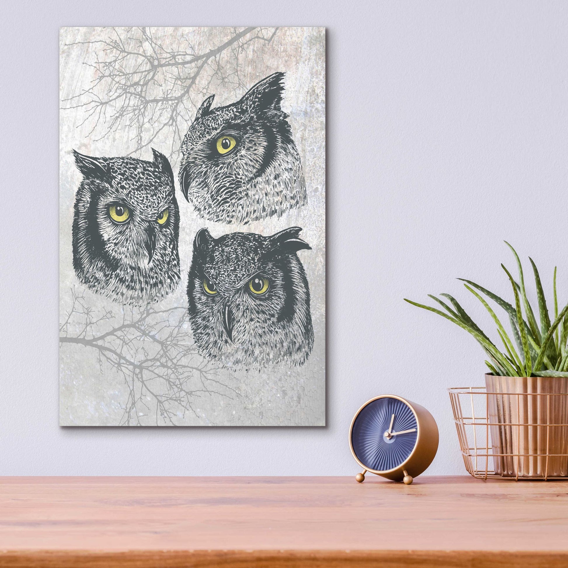 Epic Art 'Three Owls' by Rachel Caldwell, Acrylic Glass Wall Art,12x16