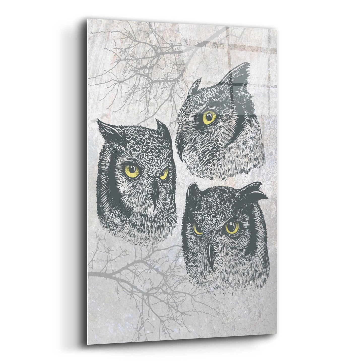 Epic Art 'Three Owls' by Rachel Caldwell, Acrylic Glass Wall Art,16x24