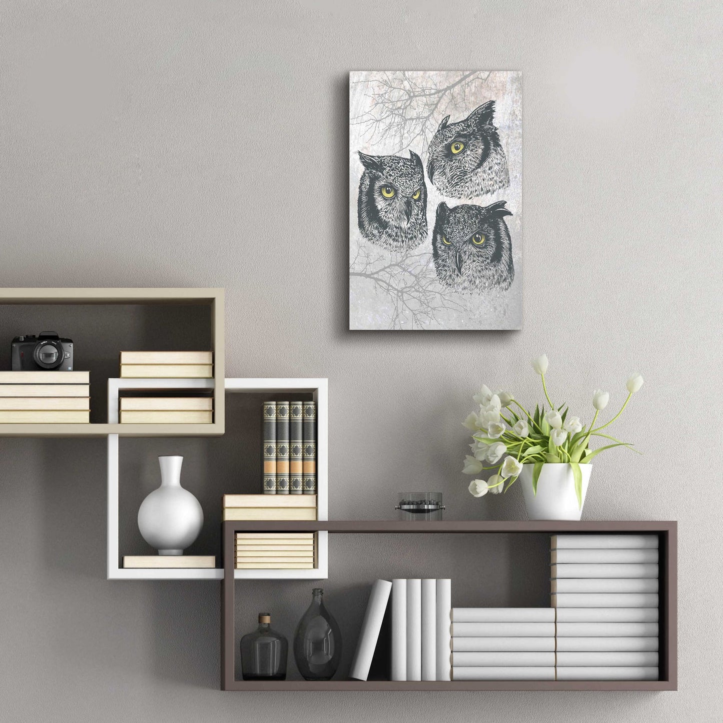 Epic Art 'Three Owls' by Rachel Caldwell, Acrylic Glass Wall Art,16x24