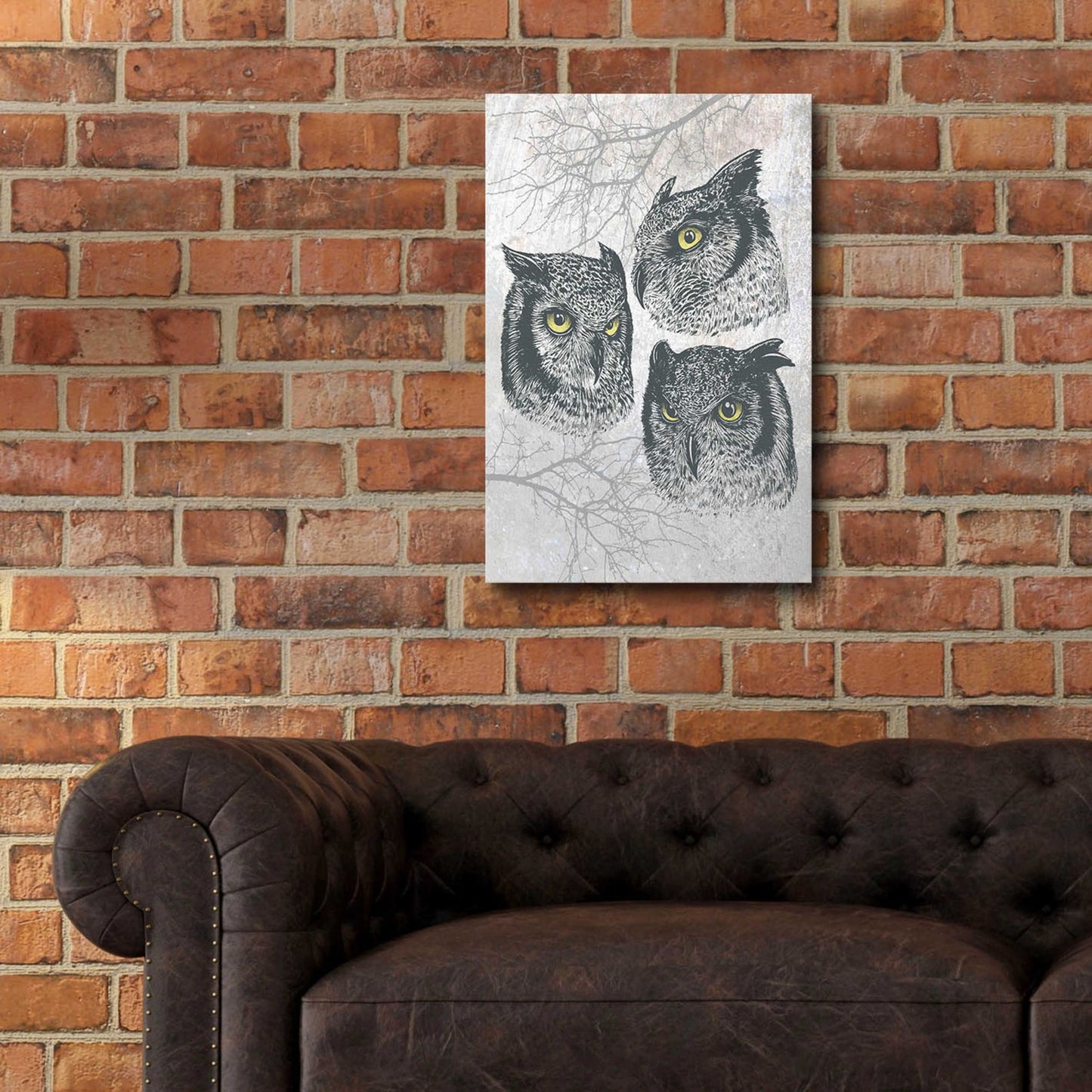 Epic Art 'Three Owls' by Rachel Caldwell, Acrylic Glass Wall Art,16x24