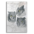 Epic Art 'Three Owls' by Rachel Caldwell, Acrylic Glass Wall Art