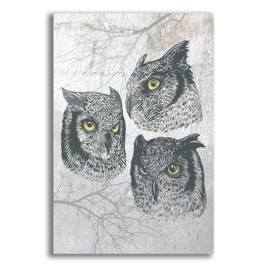 Epic Art 'Three Owls' by Rachel Caldwell, Acrylic Glass Wall Art