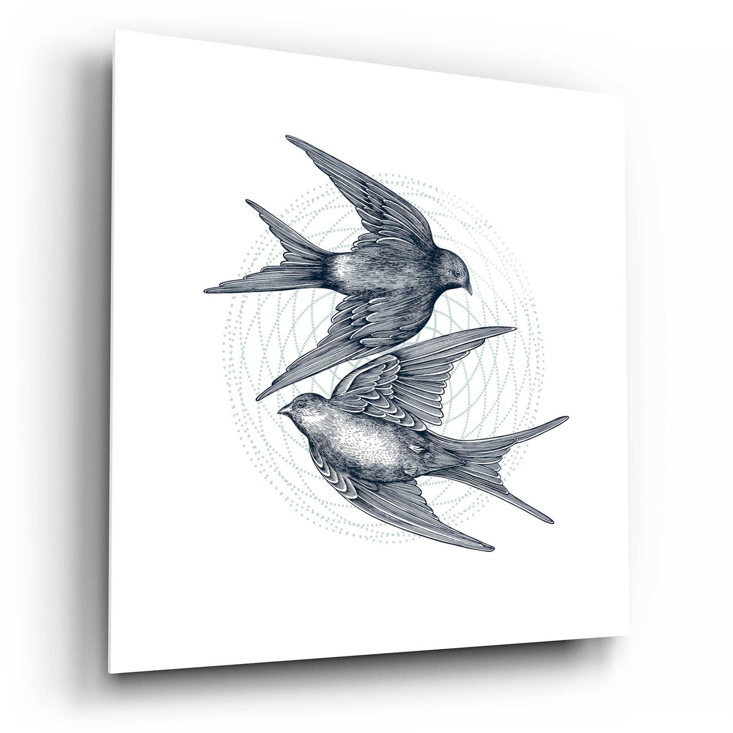 Epic Art 'Swirling Swallows' by Rachel Caldwell, Acrylic Glass Wall Art,12x12