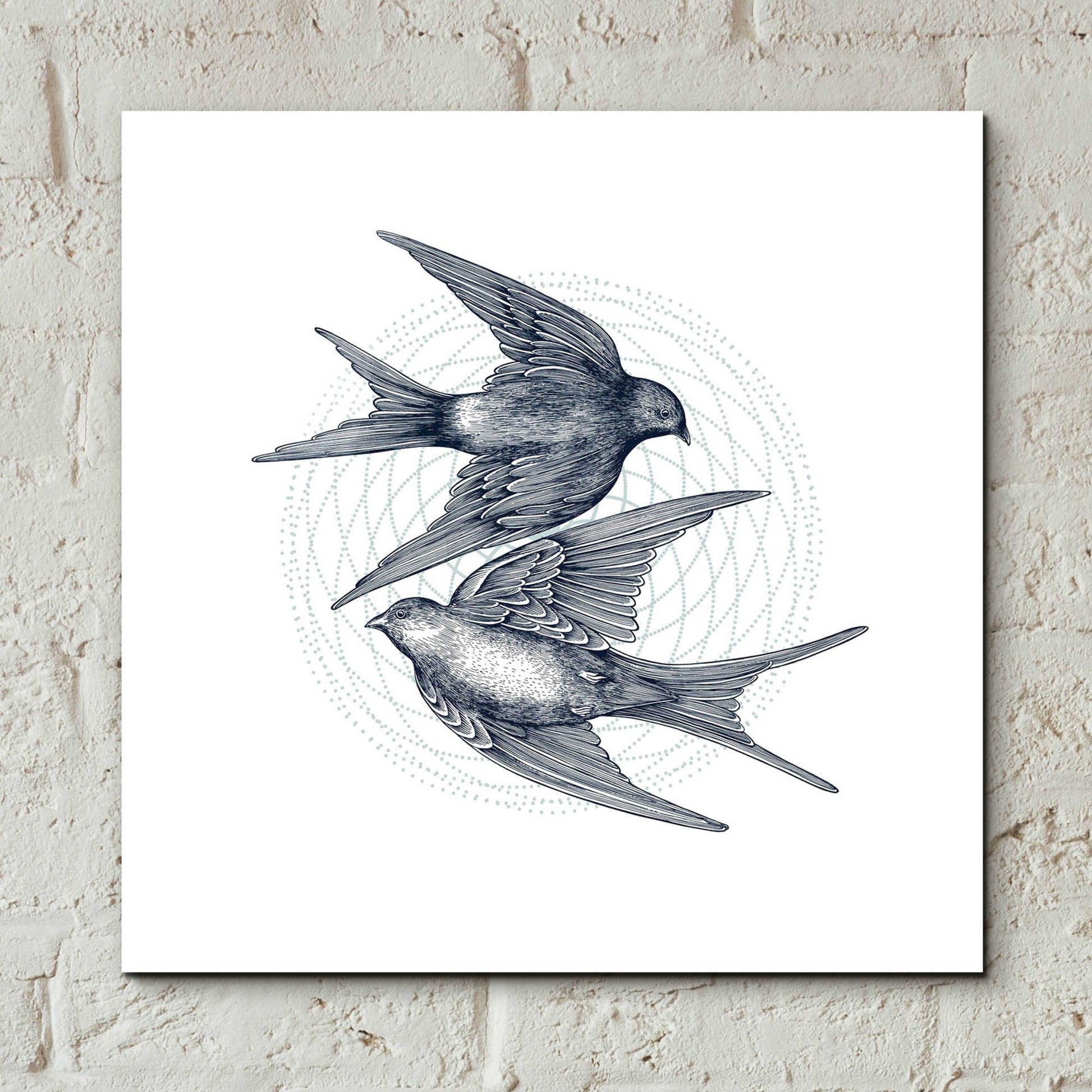 Epic Art 'Swirling Swallows' by Rachel Caldwell, Acrylic Glass Wall Art,12x12