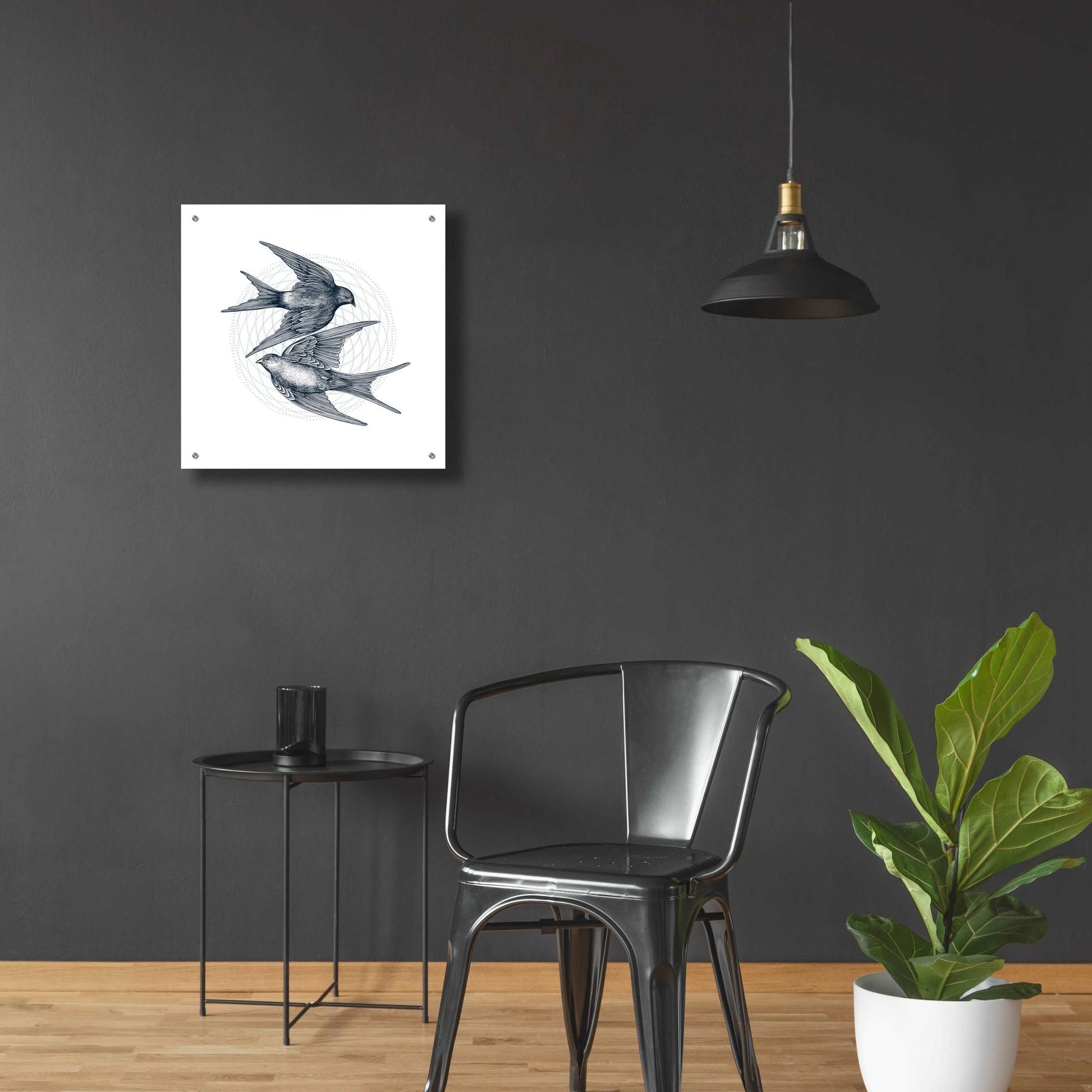 Epic Art 'Swirling Swallows' by Rachel Caldwell, Acrylic Glass Wall Art,24x24