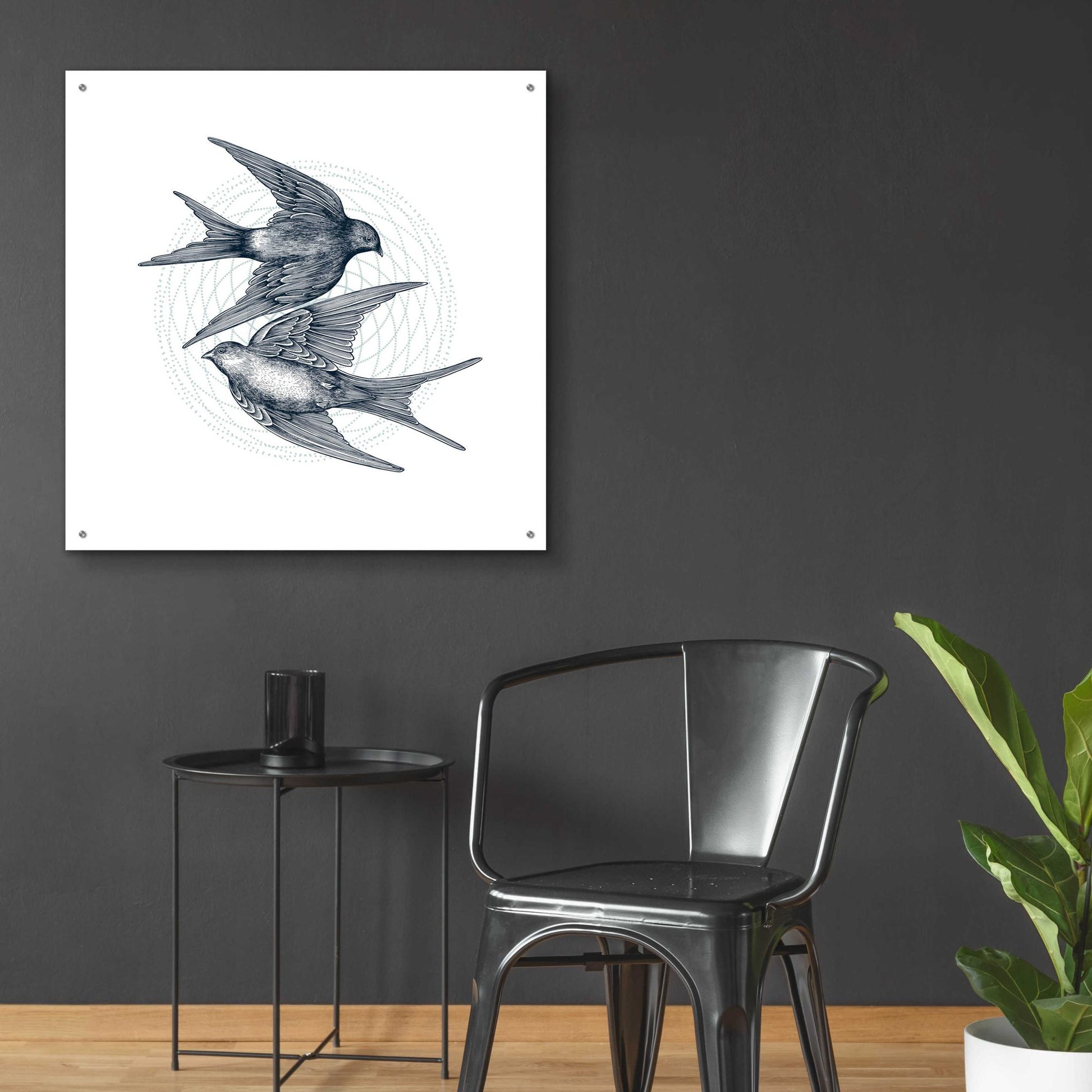 Epic Art 'Swirling Swallows' by Rachel Caldwell, Acrylic Glass Wall Art,36x36