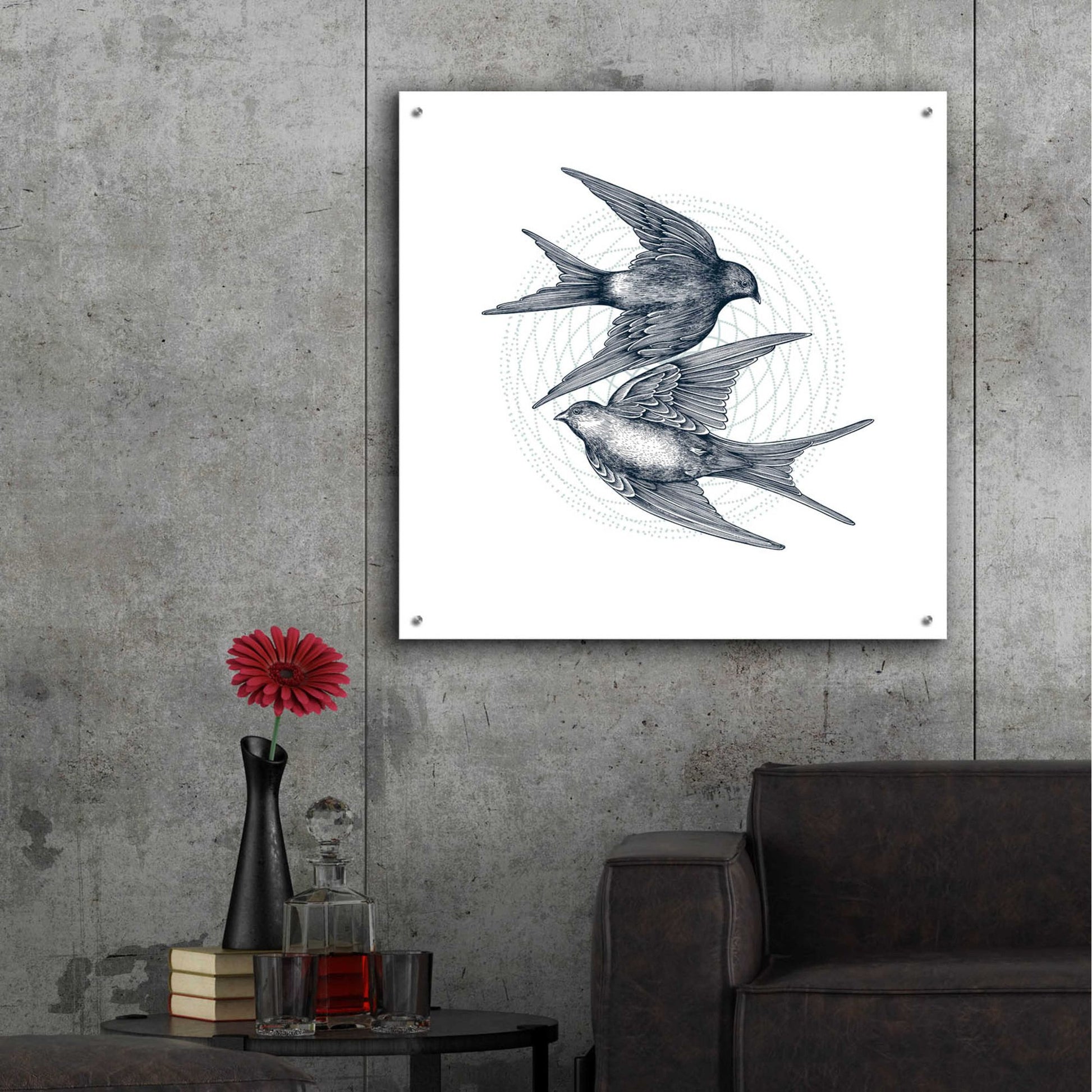 Epic Art 'Swirling Swallows' by Rachel Caldwell, Acrylic Glass Wall Art,36x36