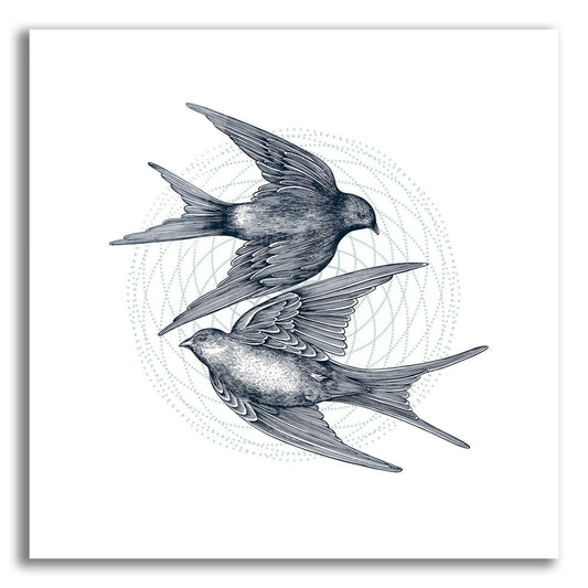 Epic Art 'Swirling Swallows' by Rachel Caldwell, Acrylic Glass Wall Art