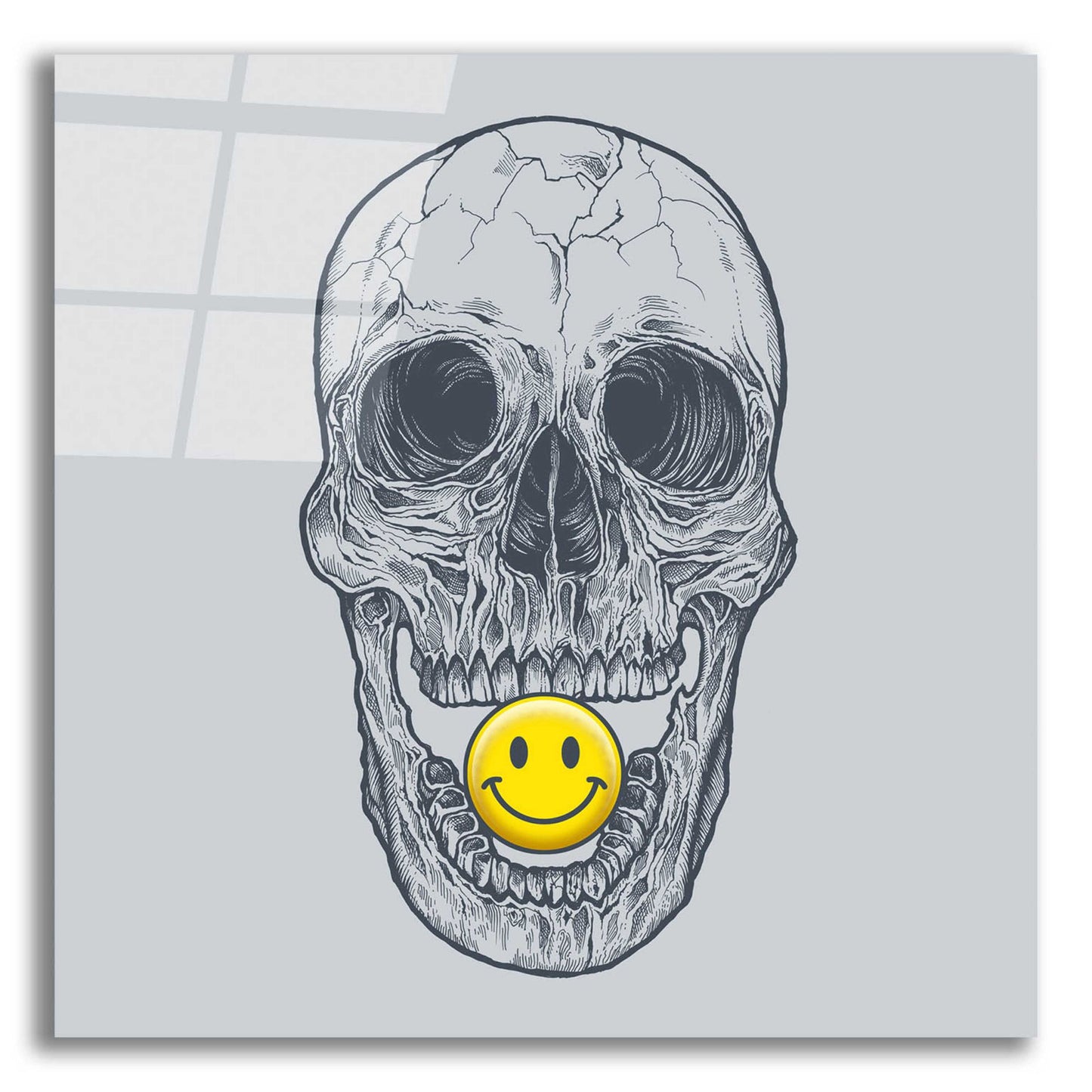 Epic Art 'Skull Have A Nice Day' by Rachel Caldwell, Acrylic Glass Wall Art