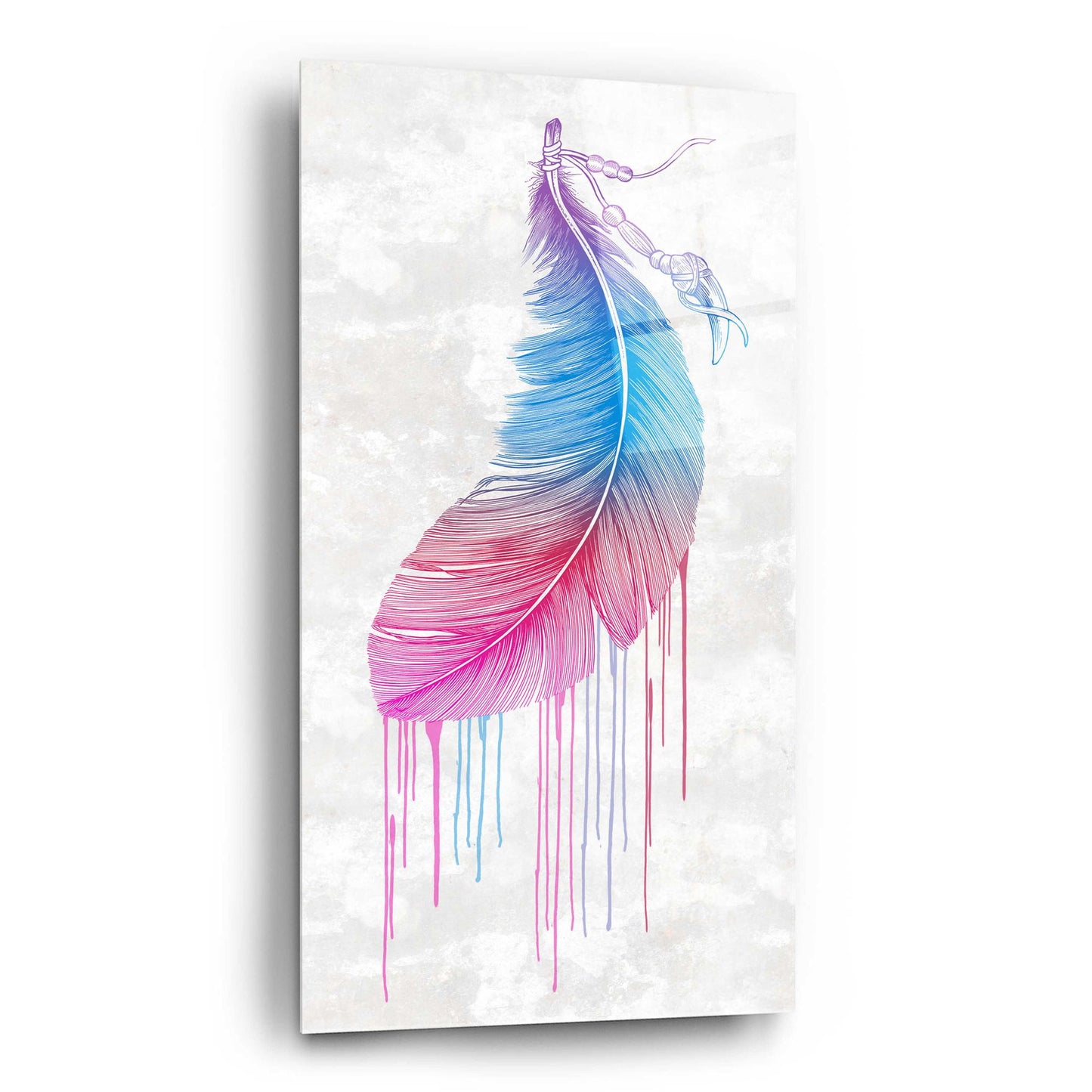 Epic Art 'Rainbow Feather' by Rachel Caldwell, Acrylic Glass Wall Art,12x24