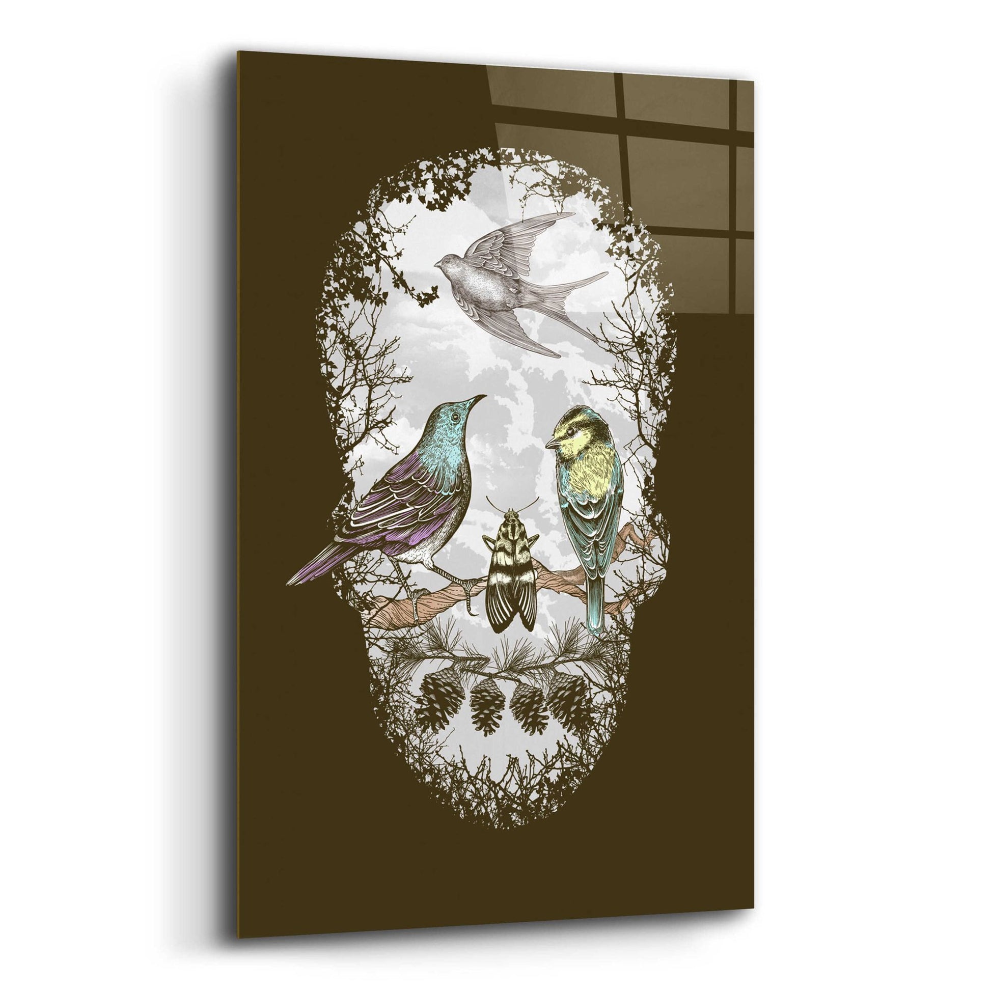 Epic Art 'Natures Skull' by Rachel Caldwell, Acrylic Glass Wall Art,12x16