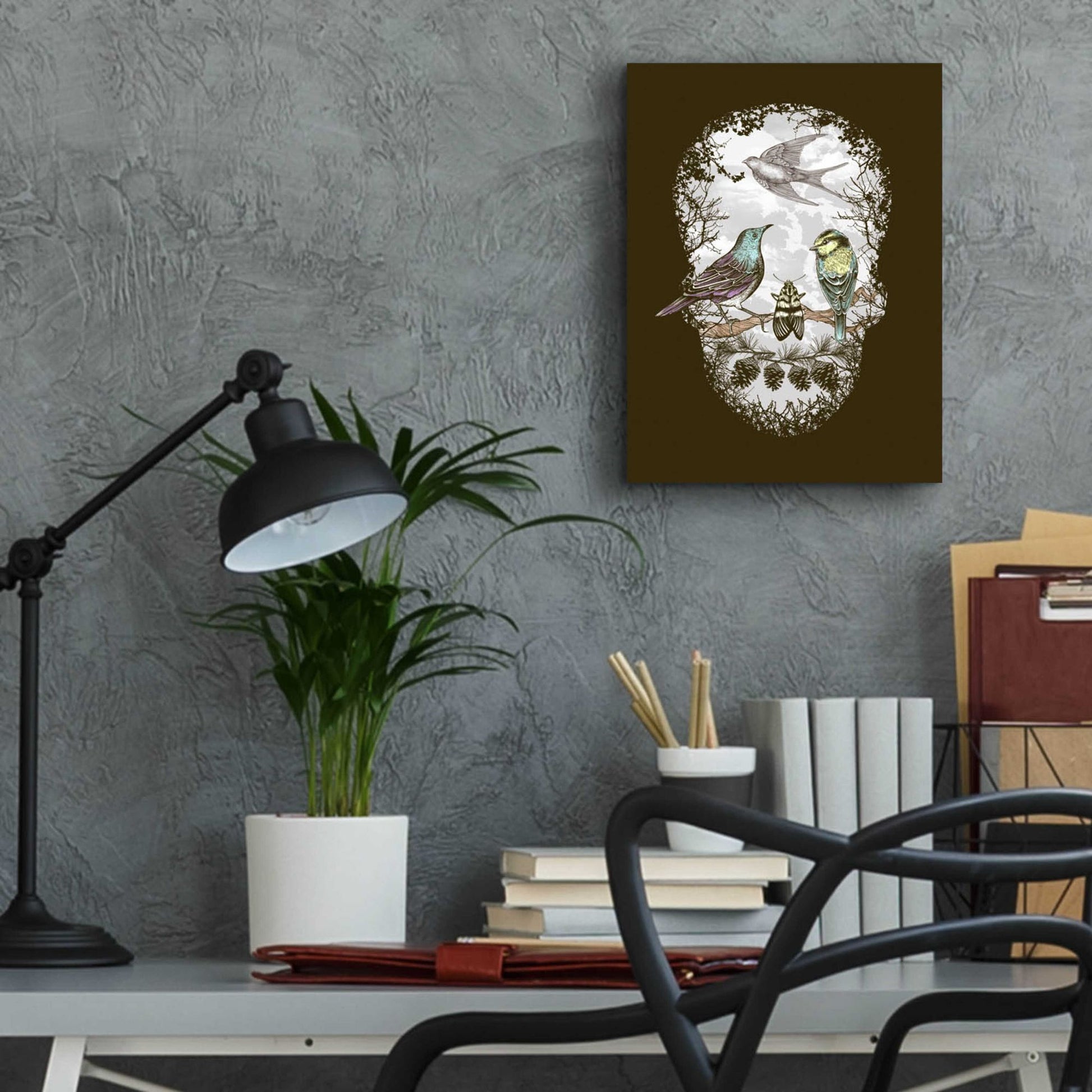 Epic Art 'Natures Skull' by Rachel Caldwell, Acrylic Glass Wall Art,12x16