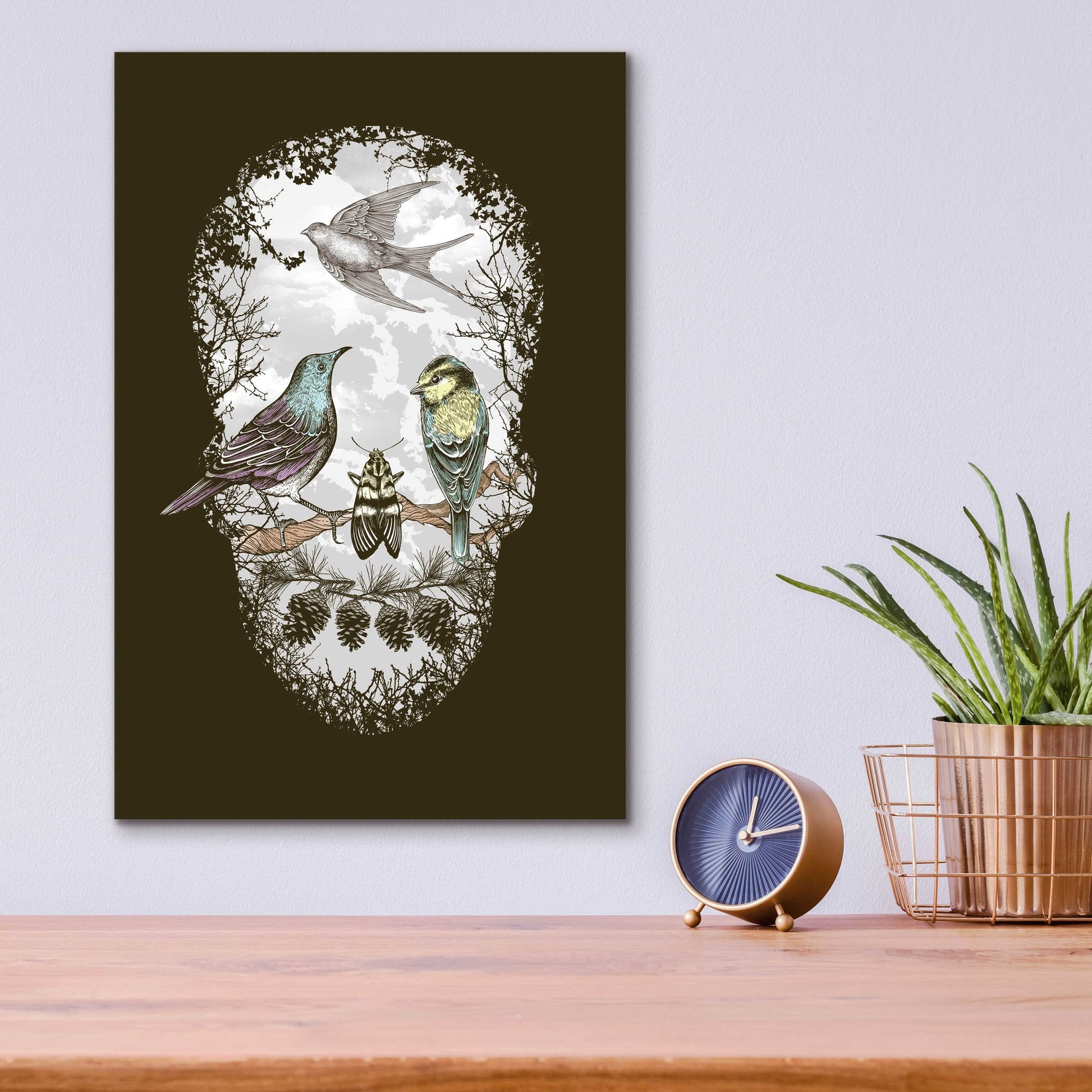 Epic Art 'Natures Skull' by Rachel Caldwell, Acrylic Glass Wall Art,12x16