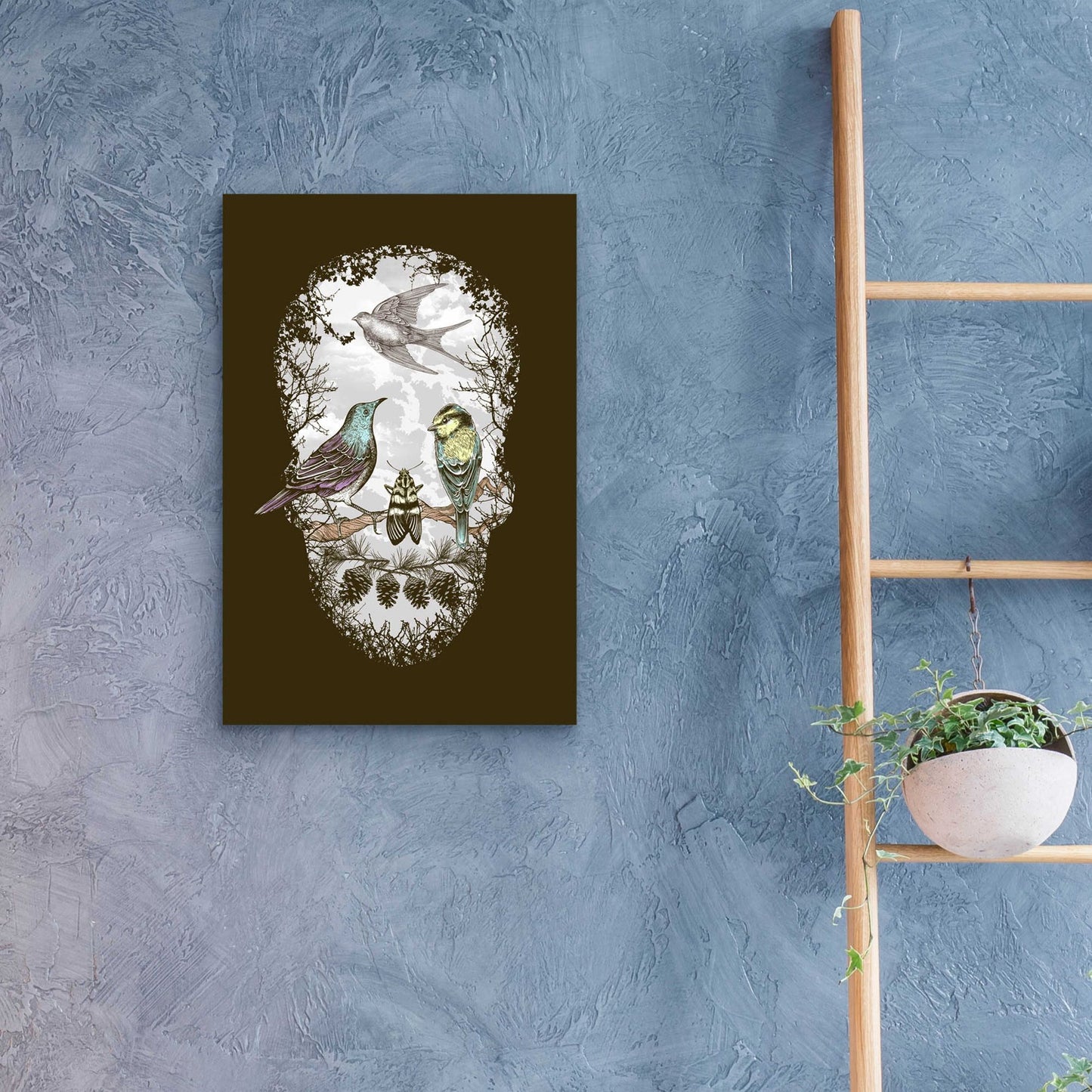 Epic Art 'Natures Skull' by Rachel Caldwell, Acrylic Glass Wall Art,16x24