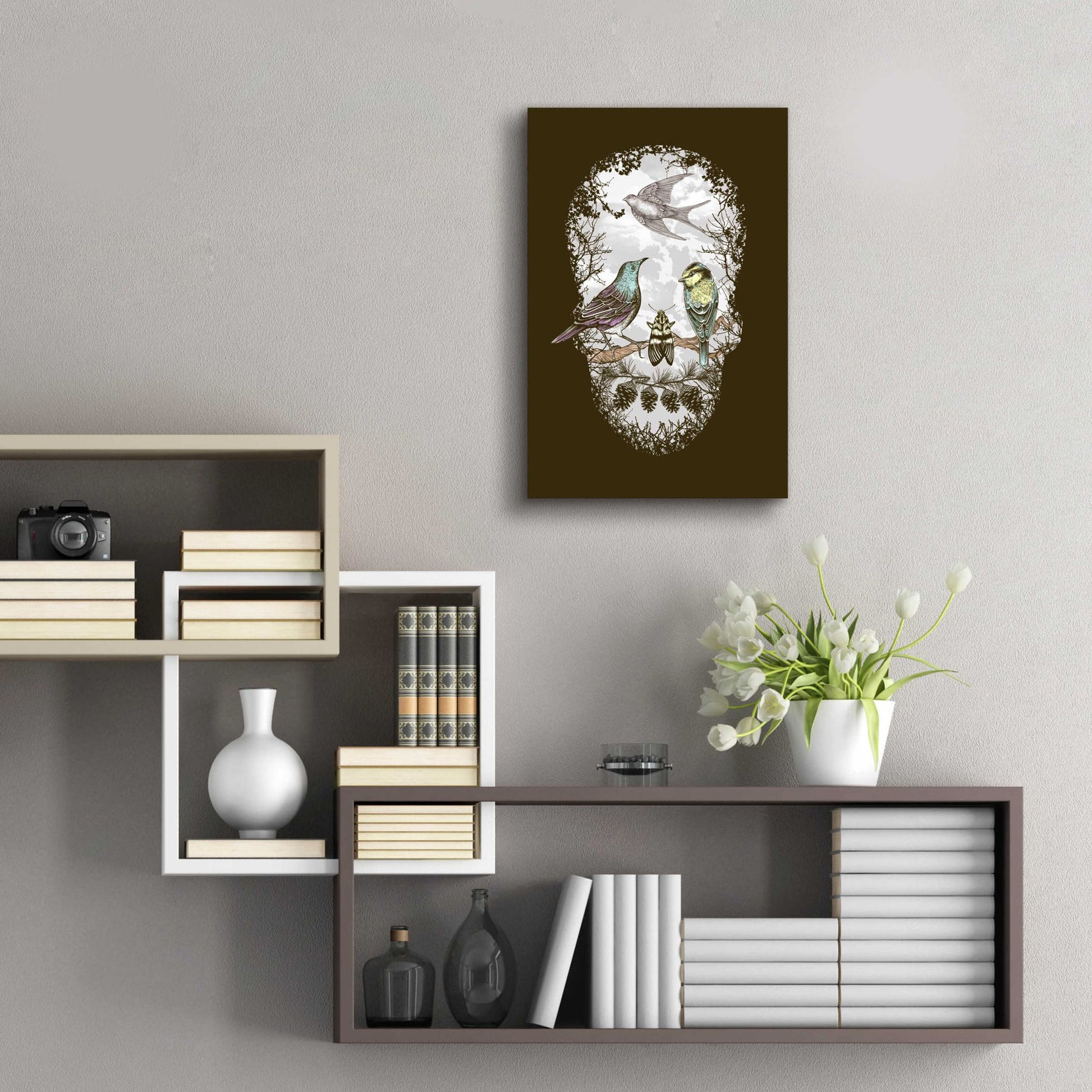 Epic Art 'Natures Skull' by Rachel Caldwell, Acrylic Glass Wall Art,16x24