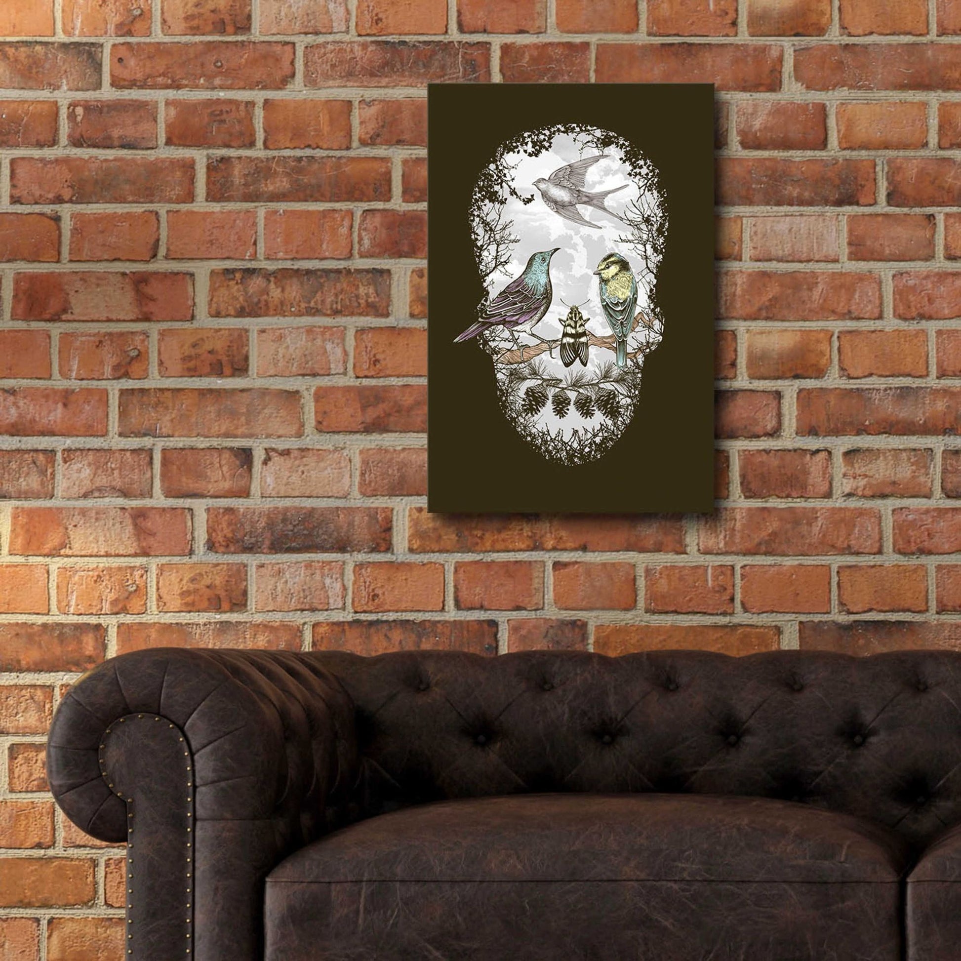 Epic Art 'Natures Skull' by Rachel Caldwell, Acrylic Glass Wall Art,16x24