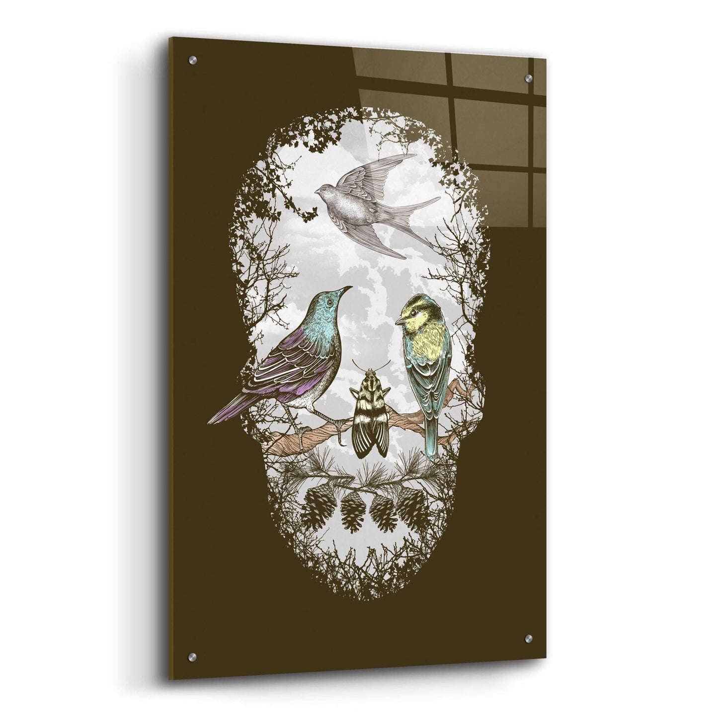 Epic Art 'Natures Skull' by Rachel Caldwell, Acrylic Glass Wall Art,24x36