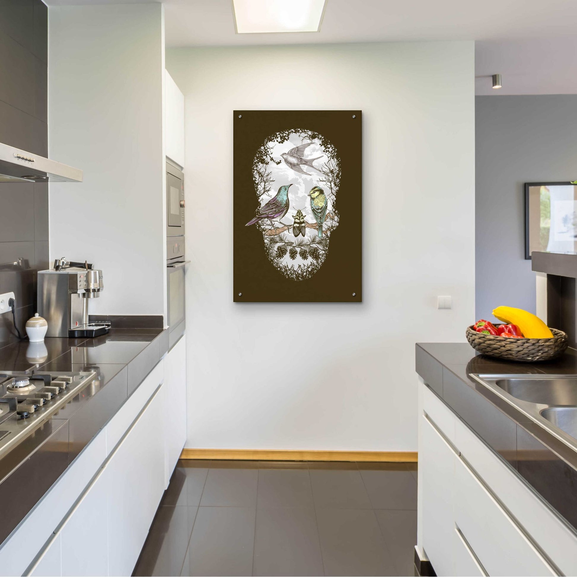 Epic Art 'Natures Skull' by Rachel Caldwell, Acrylic Glass Wall Art,24x36