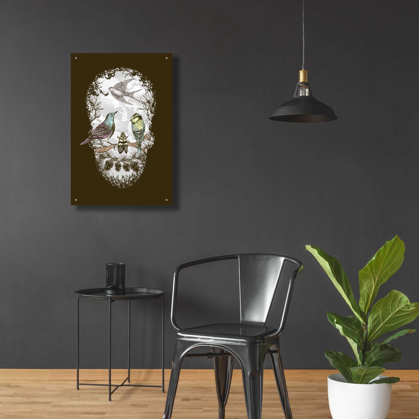 Epic Art 'Natures Skull' by Rachel Caldwell, Acrylic Glass Wall Art,24x36