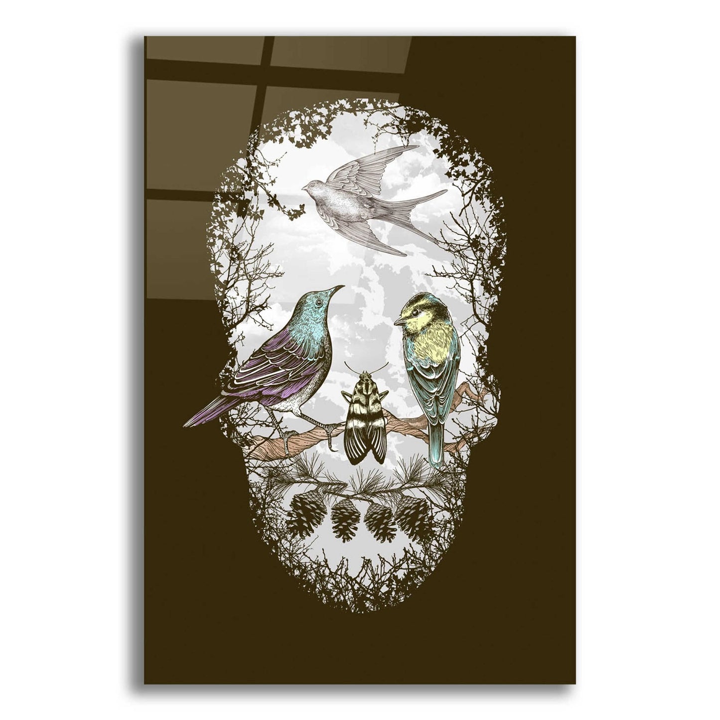 Epic Art 'Natures Skull' by Rachel Caldwell, Acrylic Glass Wall Art