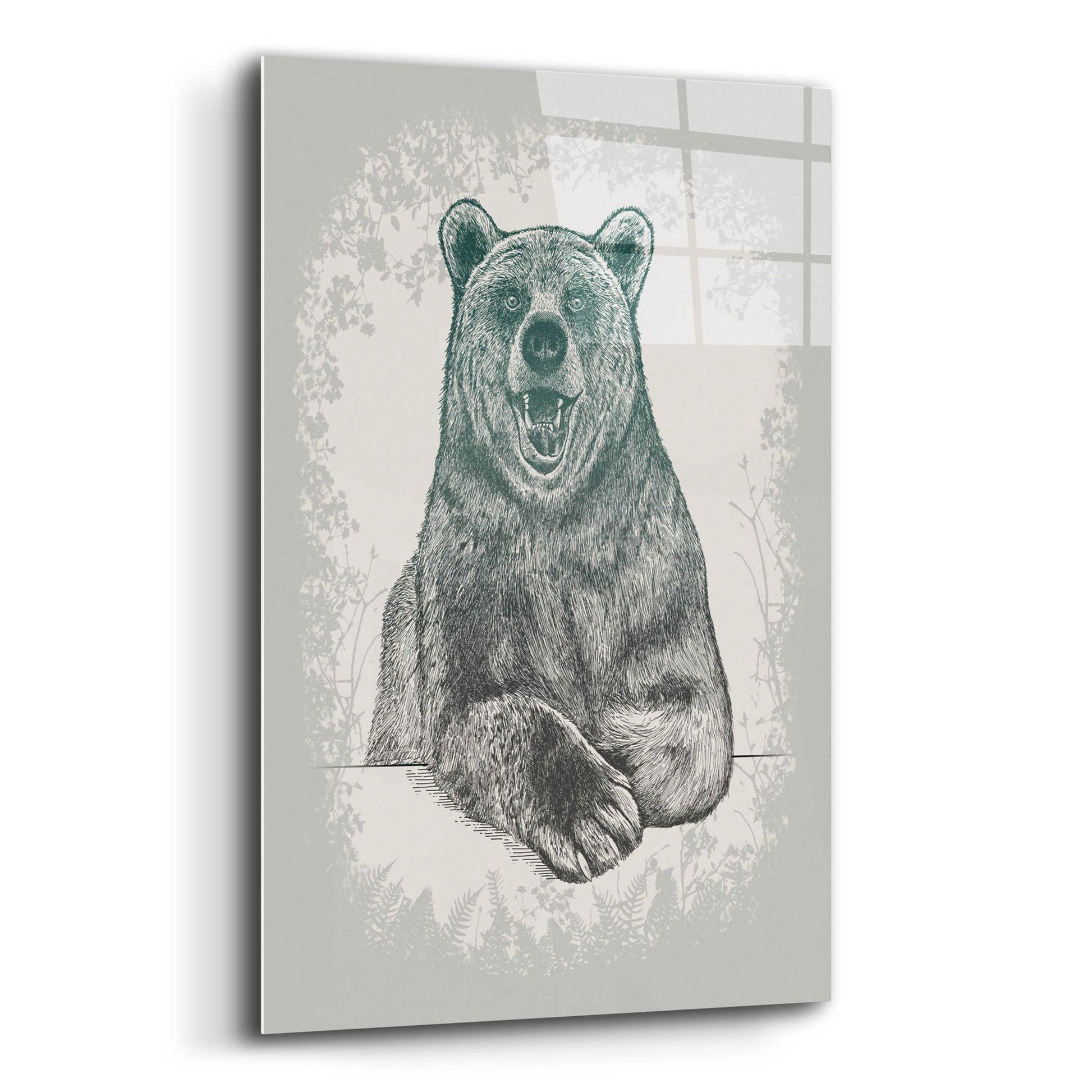 Epic Art 'Laughing Bear Etching' by Rachel Caldwell, Acrylic Glass Wall Art,12x16