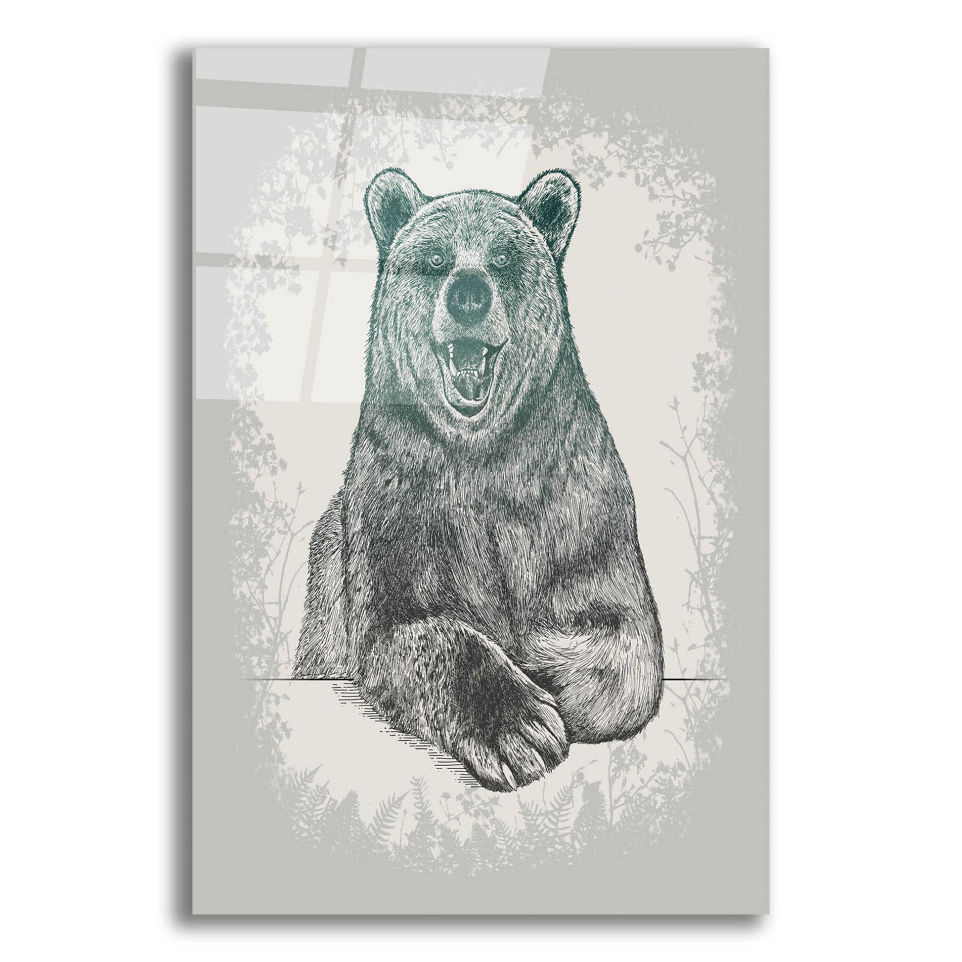 Epic Art 'Laughing Bear Etching' by Rachel Caldwell, Acrylic Glass Wall Art