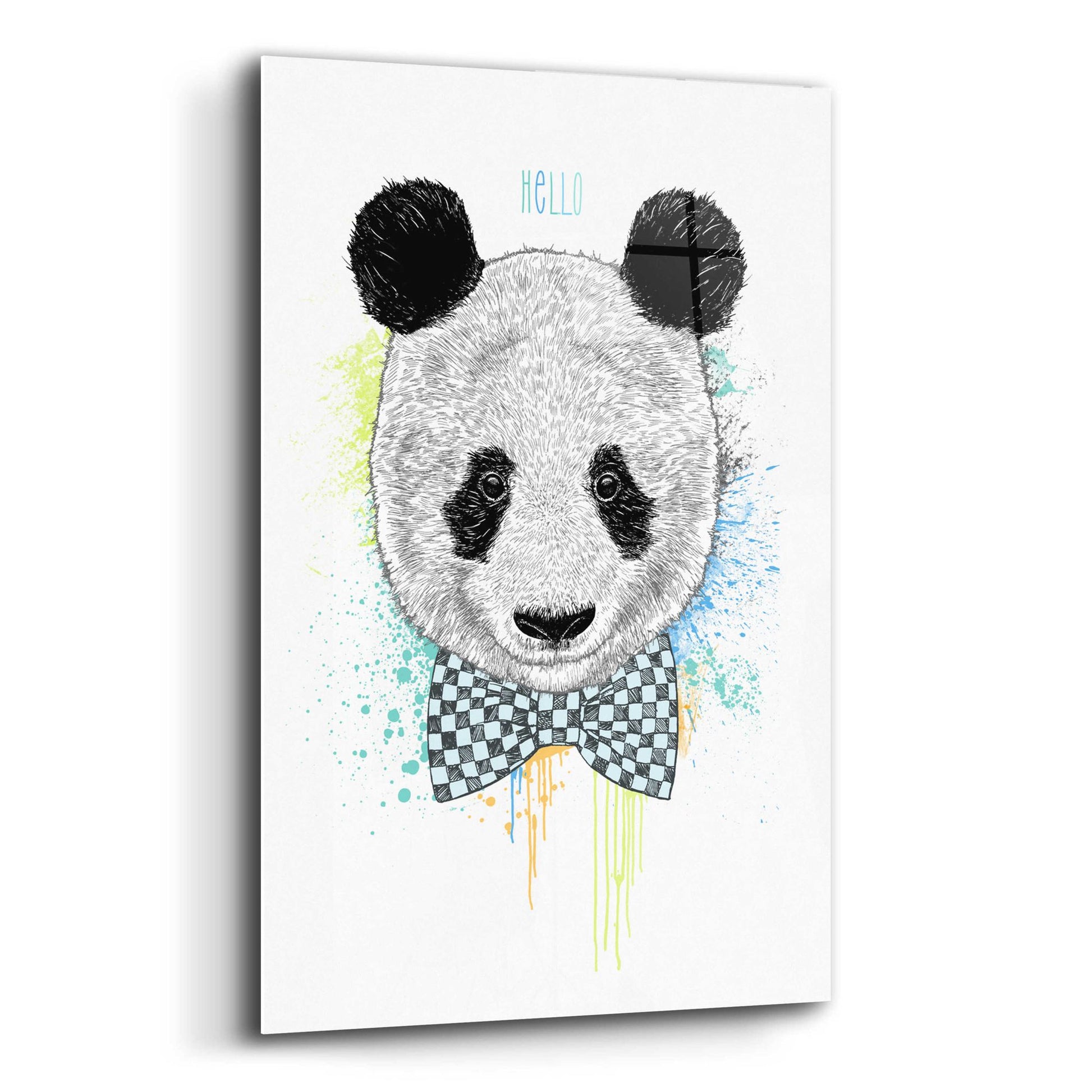 Epic Art 'Hello Panda' by Rachel Caldwell, Acrylic Glass Wall Art,12x16