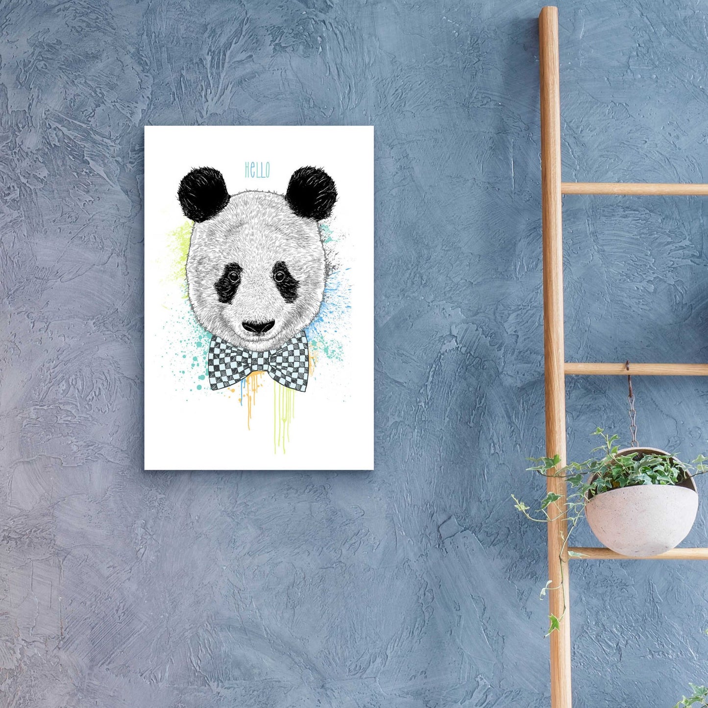 Epic Art 'Hello Panda' by Rachel Caldwell, Acrylic Glass Wall Art,16x24