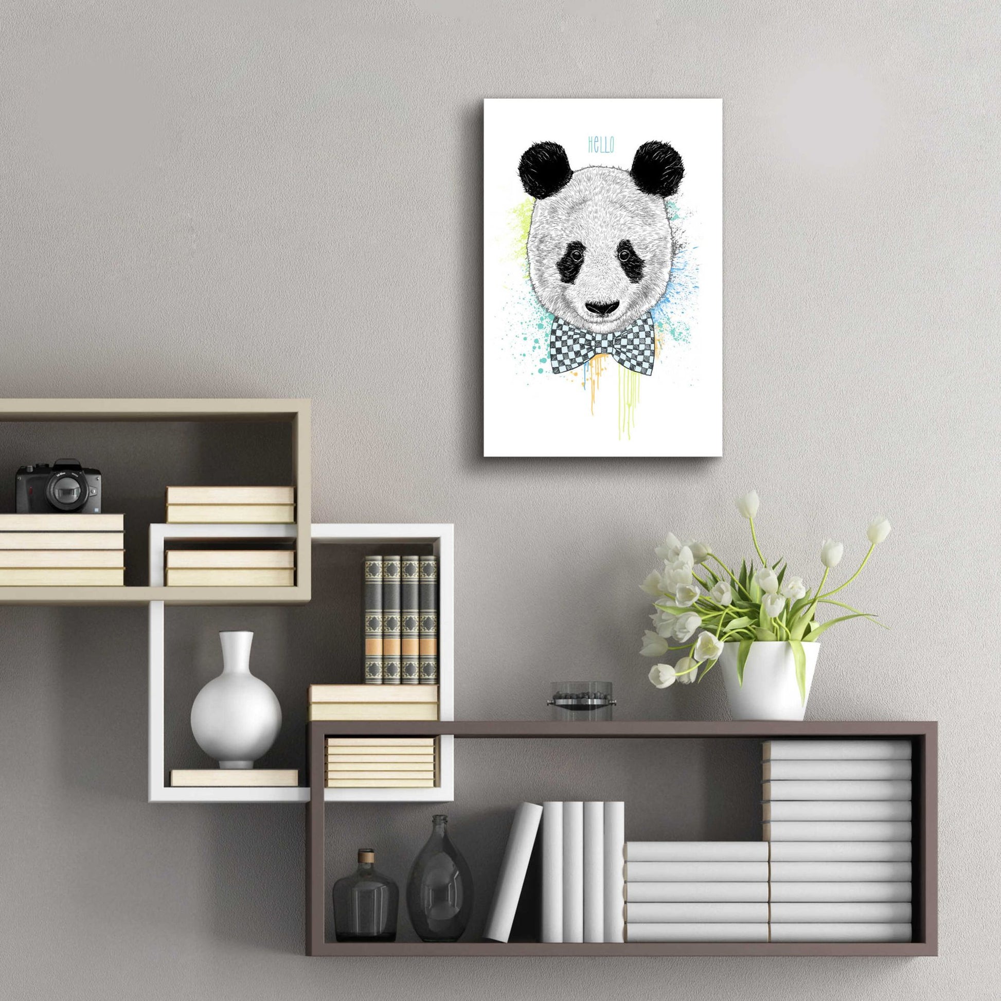 Epic Art 'Hello Panda' by Rachel Caldwell, Acrylic Glass Wall Art,16x24