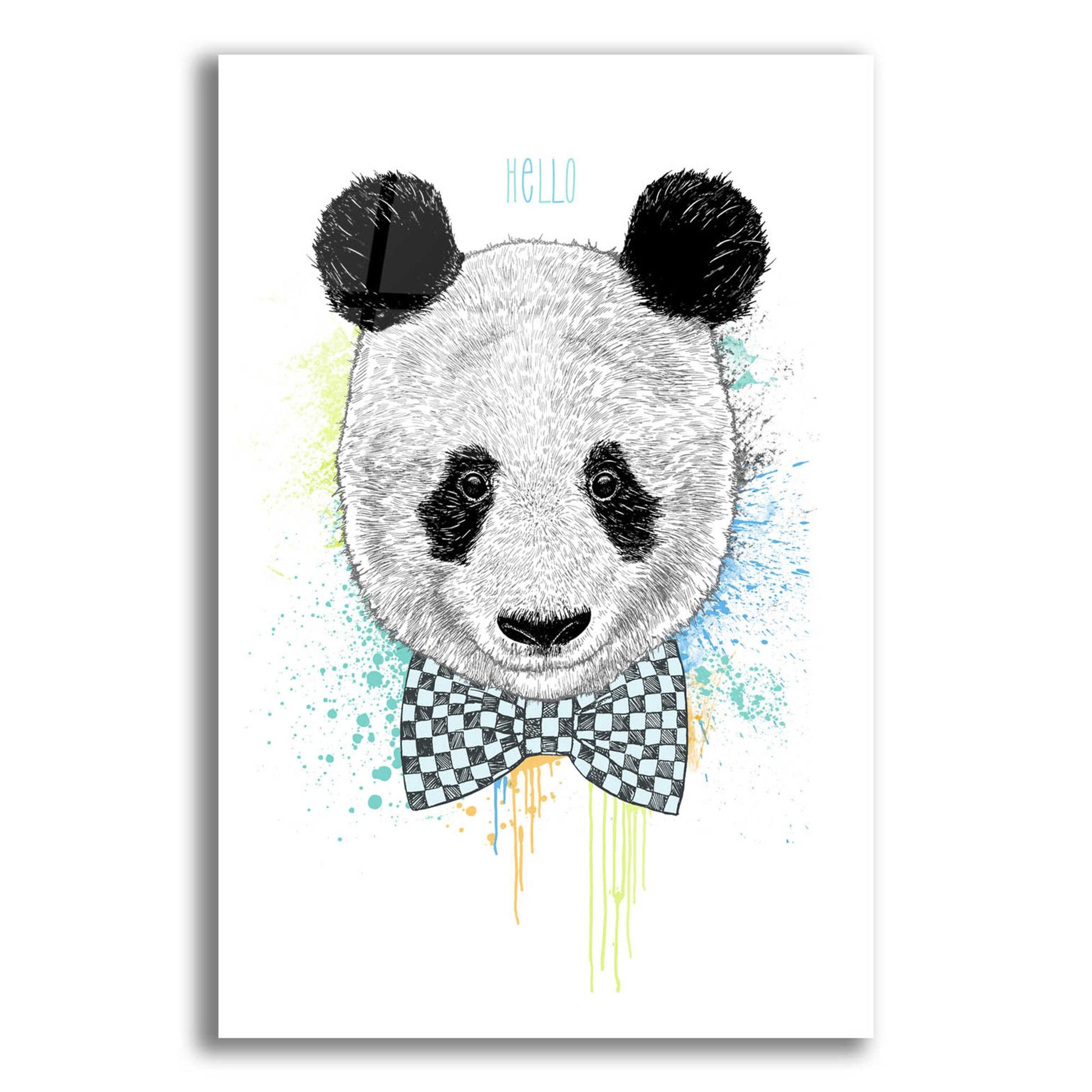 Epic Art 'Hello Panda' by Rachel Caldwell, Acrylic Glass Wall Art