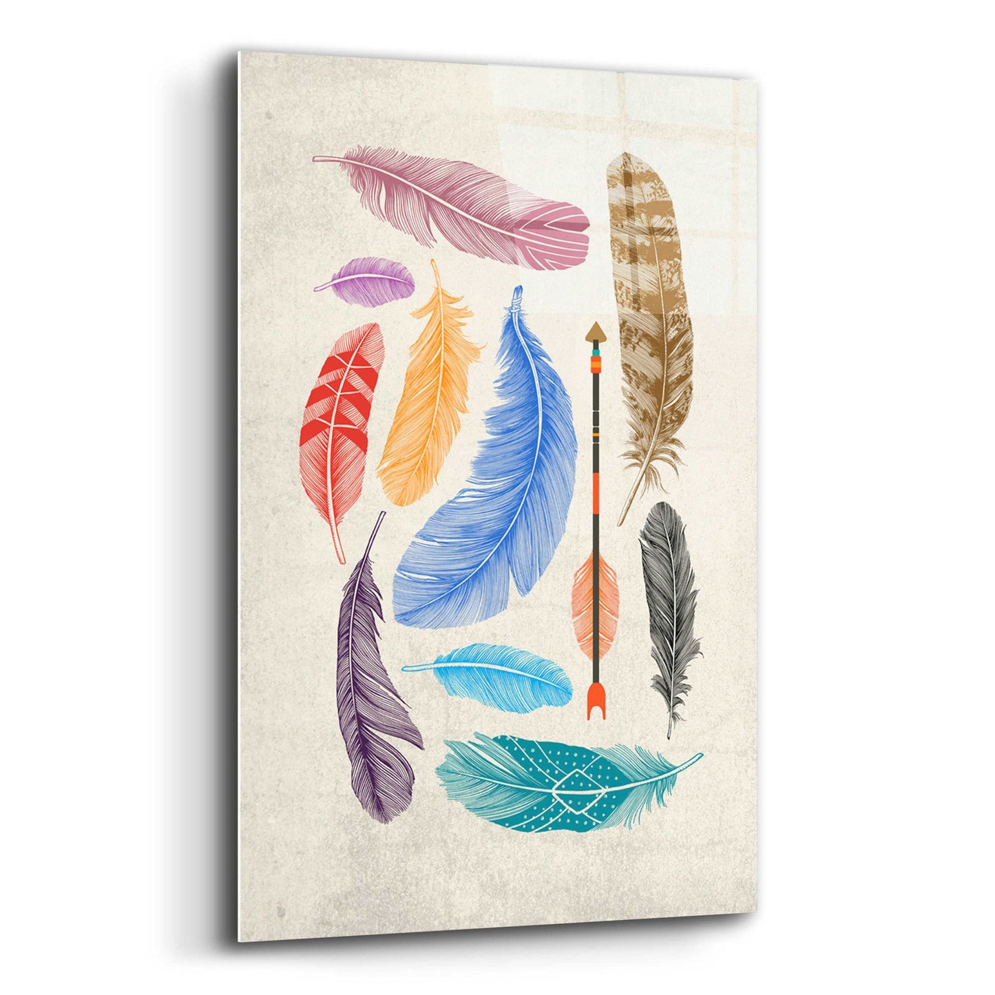 Epic Art 'Feather Collection' by Rachel Caldwell, Acrylic Glass Wall Art,12x16