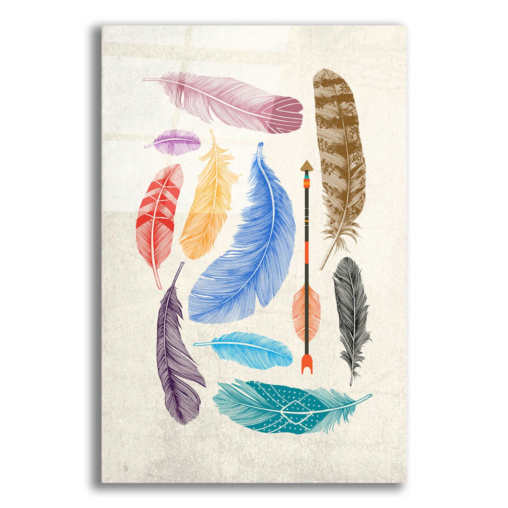 Epic Art 'Feather Collection' by Rachel Caldwell, Acrylic Glass Wall Art