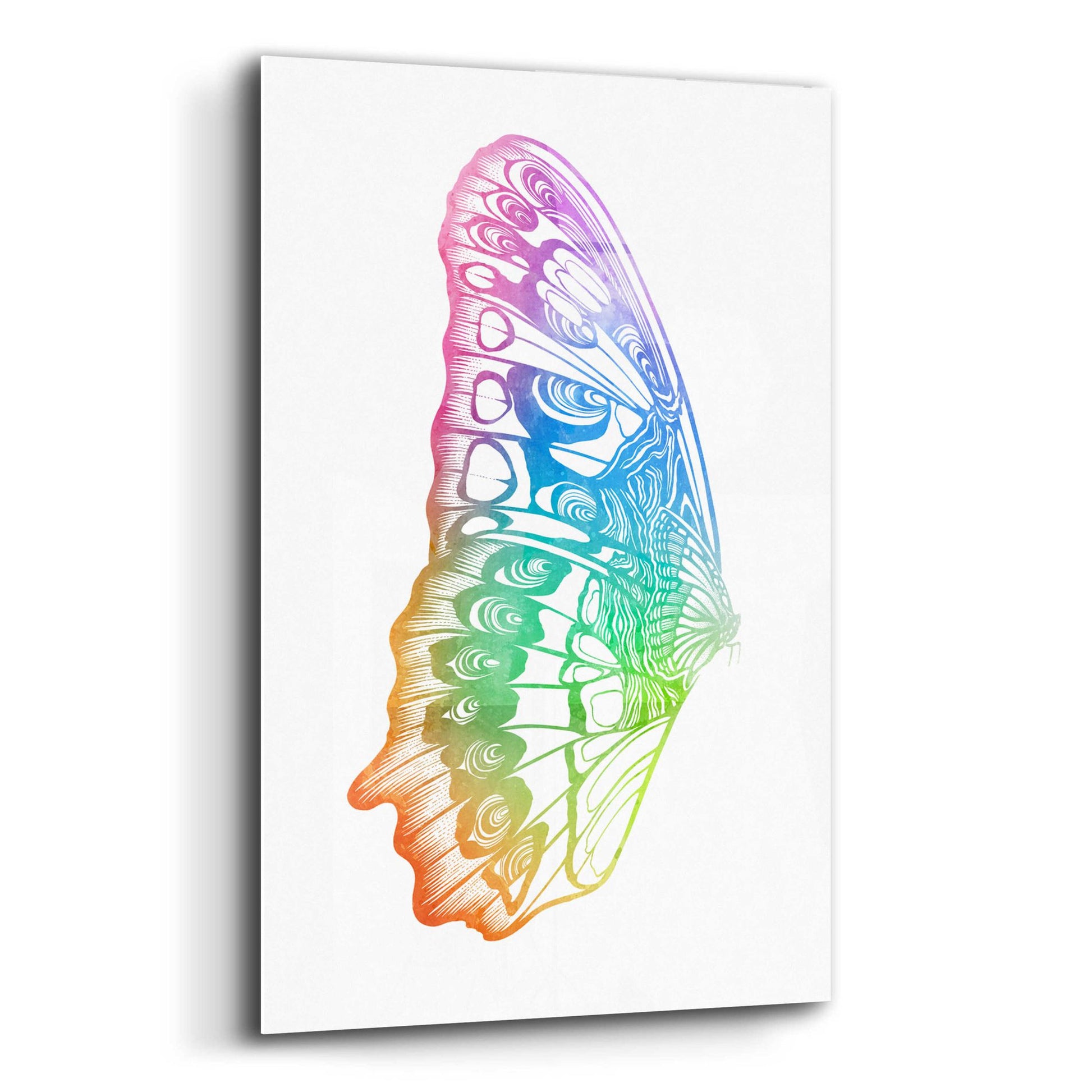 Epic Art 'Butterfly Wing Watercolor' by Rachel Caldwell, Acrylic Glass Wall Art,12x16