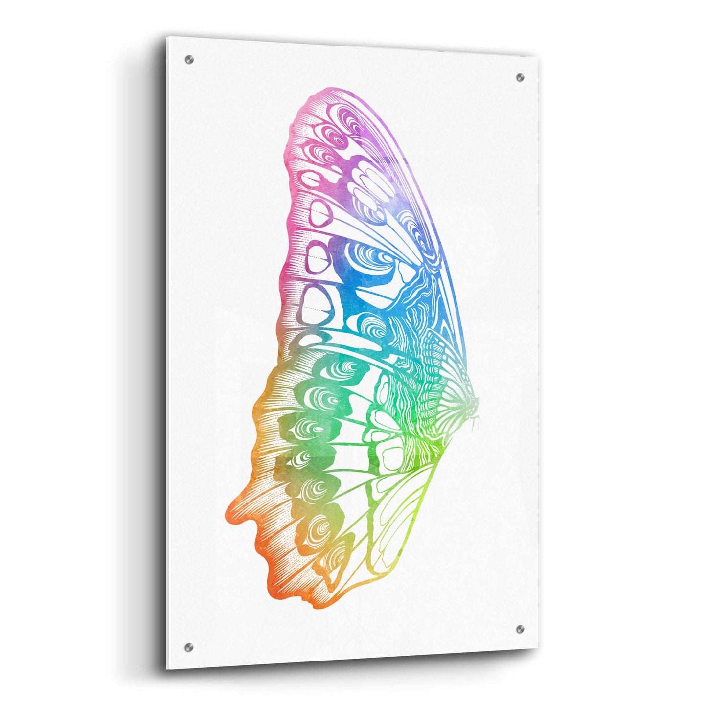 Epic Art 'Butterfly Wing Watercolor' by Rachel Caldwell, Acrylic Glass Wall Art,24x36