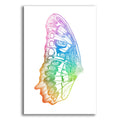 Epic Art 'Butterfly Wing Watercolor' by Rachel Caldwell, Acrylic Glass Wall Art
