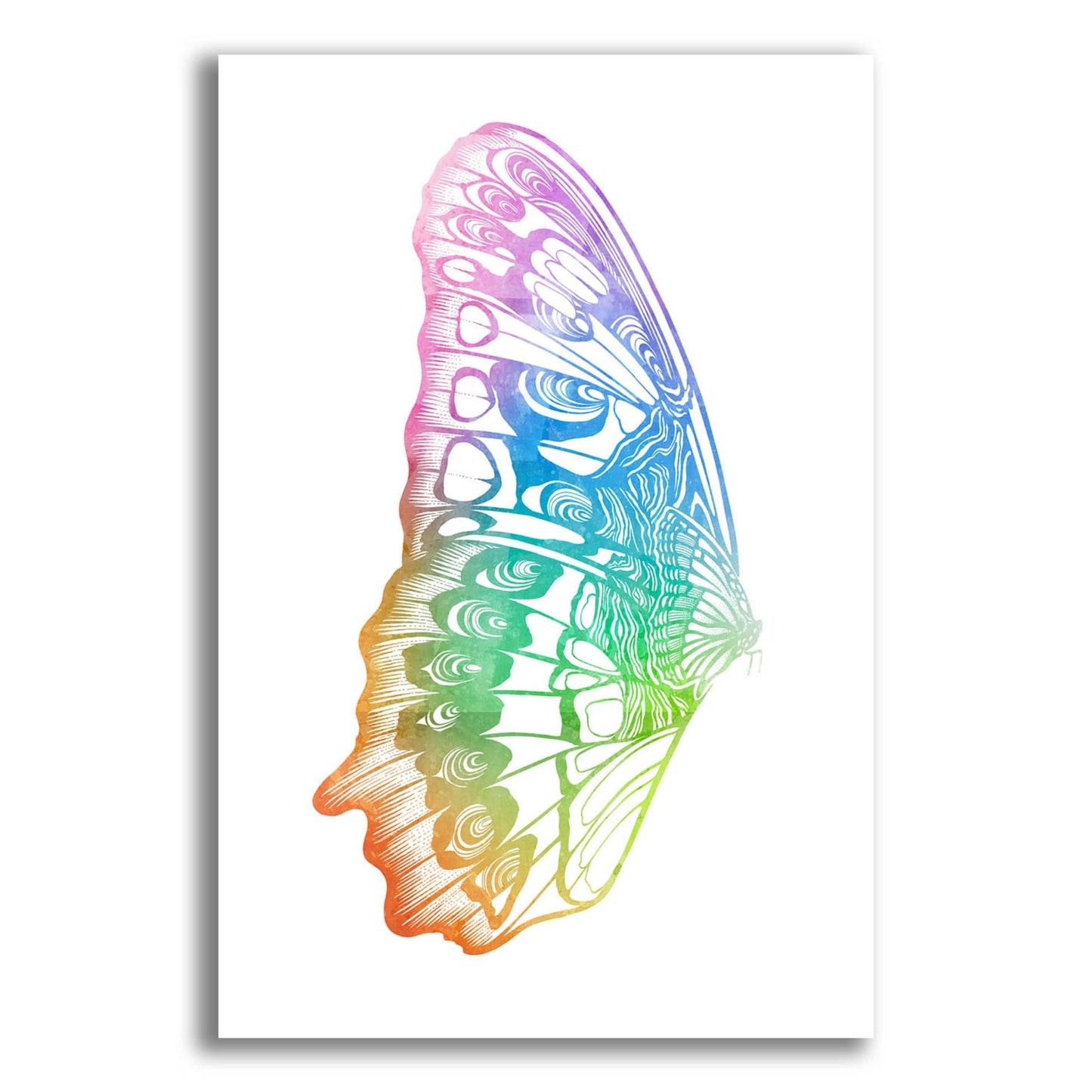 Epic Art 'Butterfly Wing Watercolor' by Rachel Caldwell, Acrylic Glass Wall Art