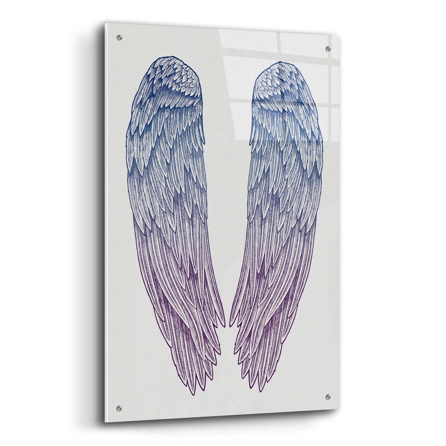 Epic Art 'Angel Wings' by Rachel Caldwell, Acrylic Glass Wall Art,24x36