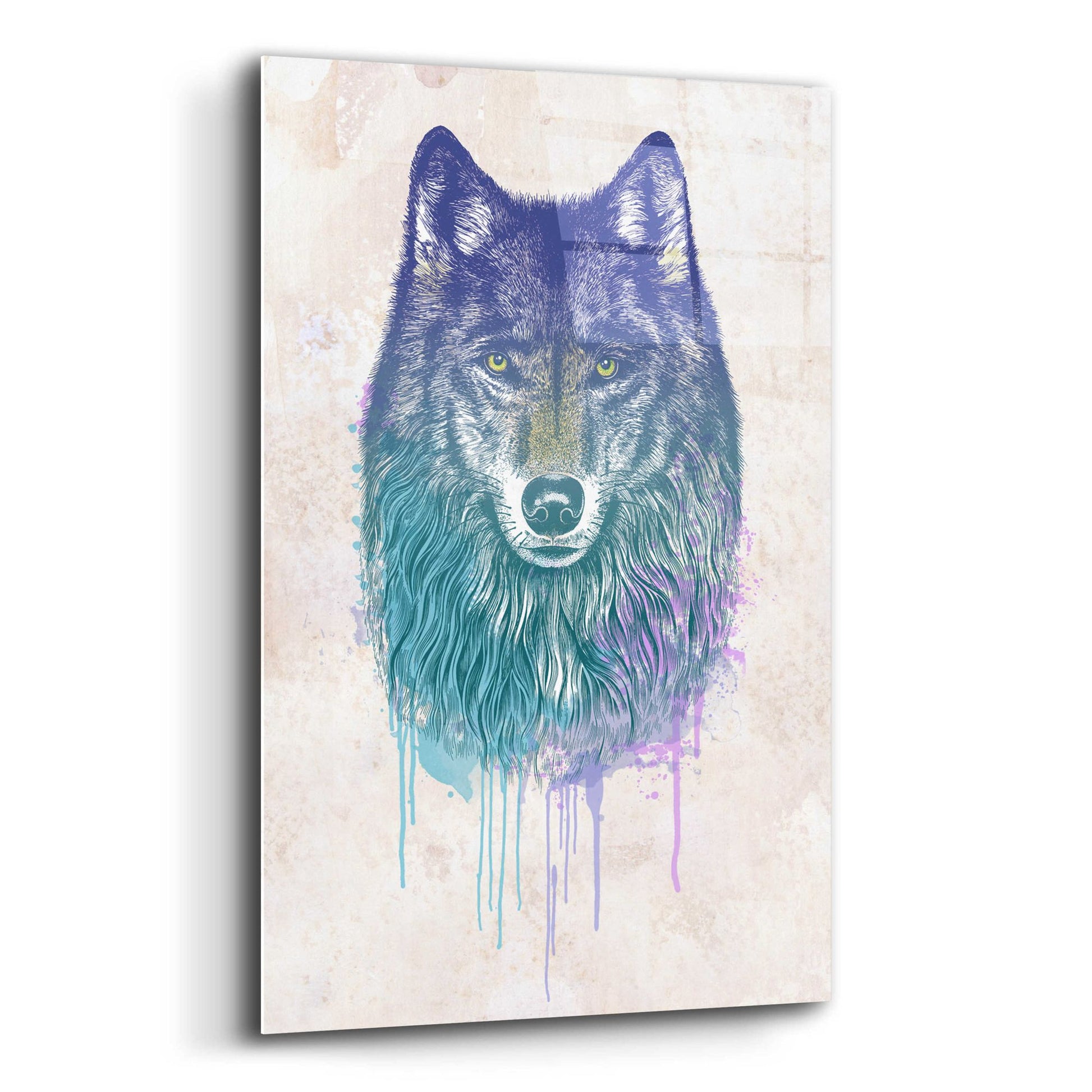 Epic Art 'Wolf Dream' by Rachel Caldwell, Acrylic Glass Wall Art,12x16