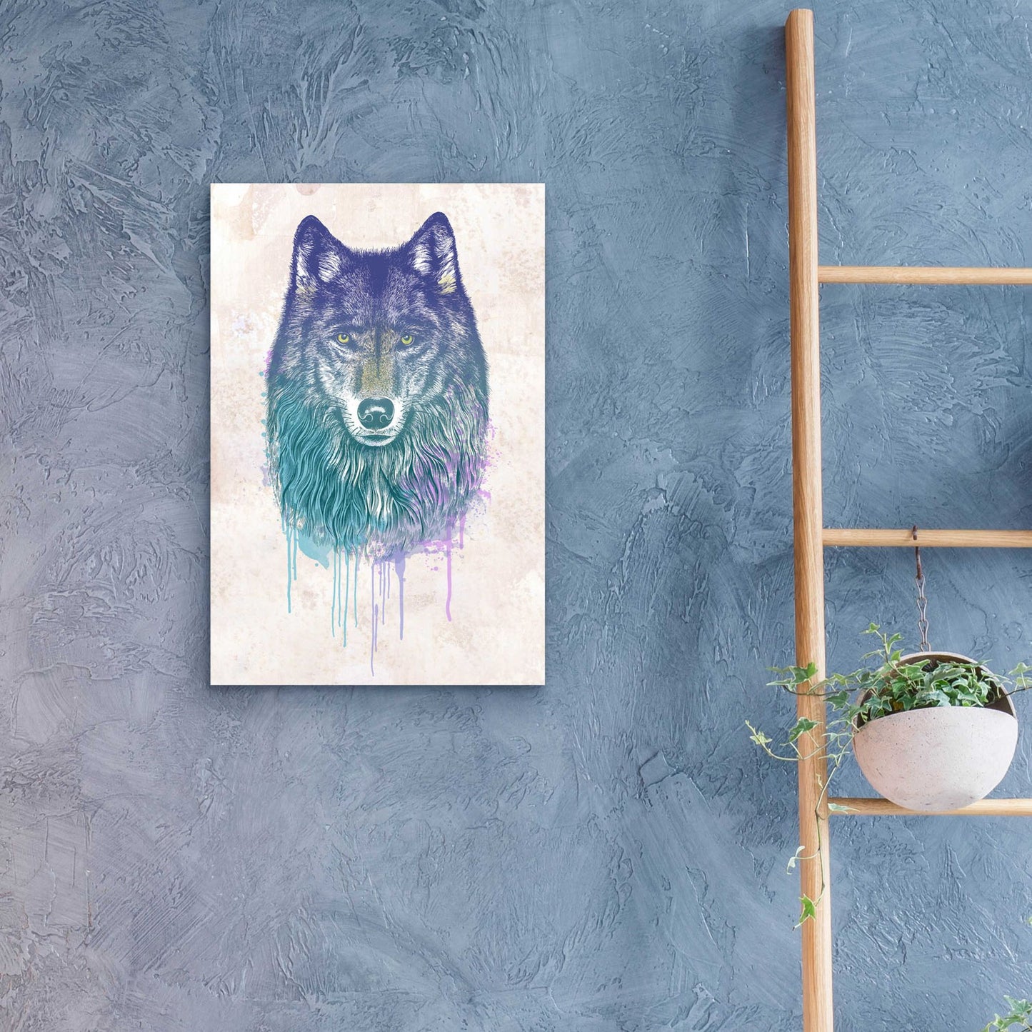 Epic Art 'Wolf Dream' by Rachel Caldwell, Acrylic Glass Wall Art,16x24