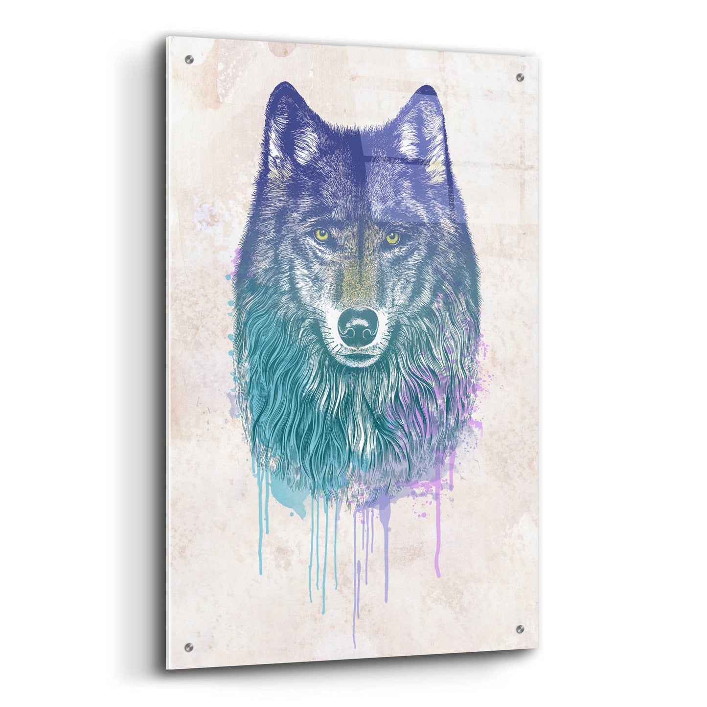 Epic Art 'Wolf Dream' by Rachel Caldwell, Acrylic Glass Wall Art,24x36