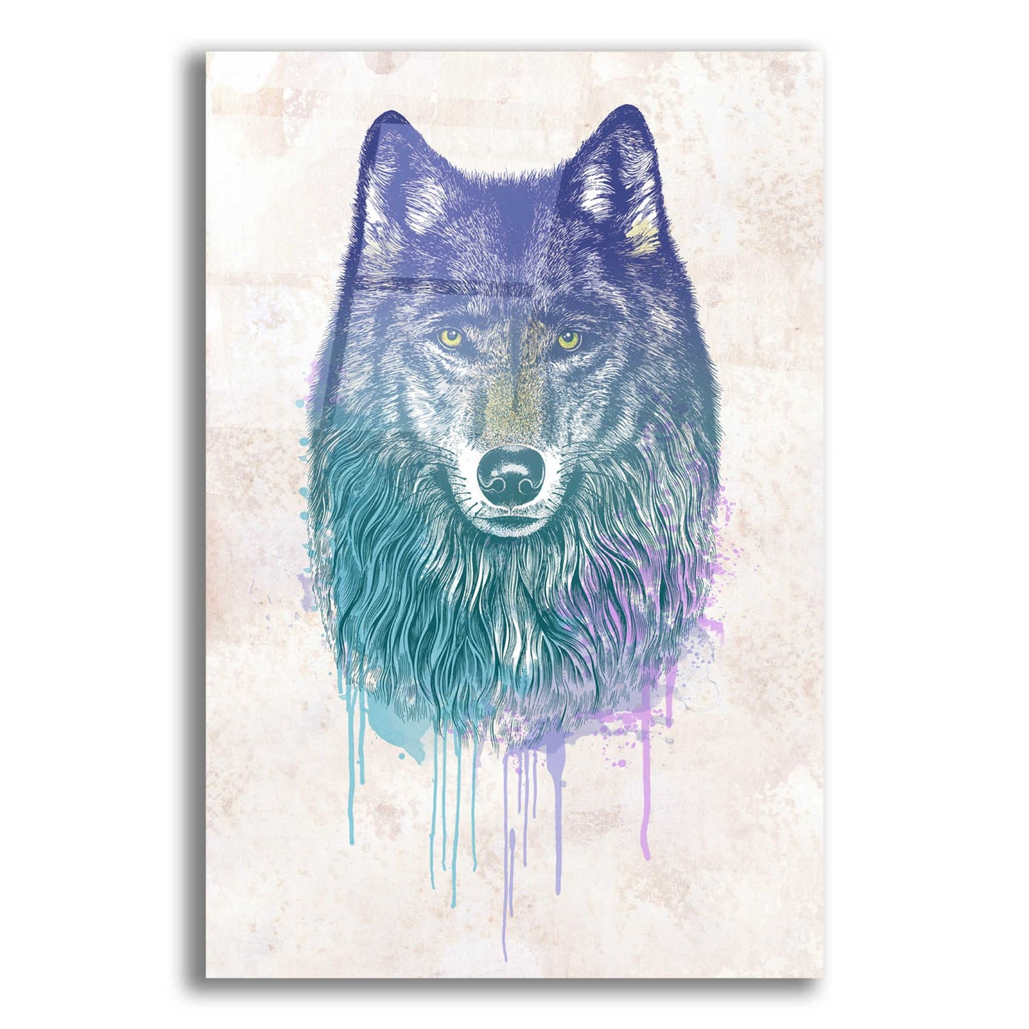 Epic Art 'Wolf Dream' by Rachel Caldwell, Acrylic Glass Wall Art