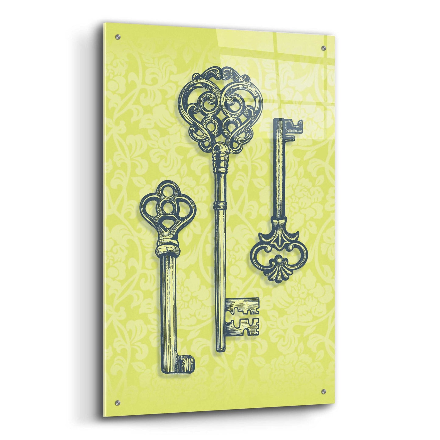 Epic Art 'Skeleton Keys' by Rachel Caldwell, Acrylic Glass Wall Art,24x36