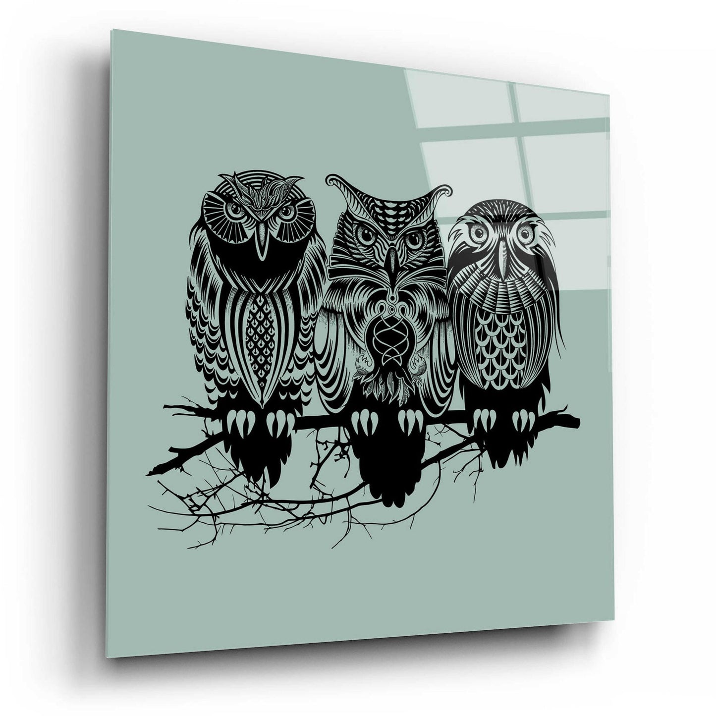 Epic Art 'Owls Of The Nile' by Rachel Caldwell, Acrylic Glass Wall Art,12x12